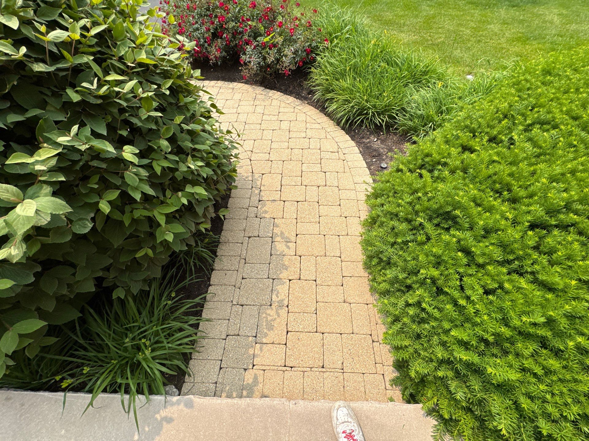 Brick paver repair, cleaning sanding and sealing by Northern Power Washing LLC.