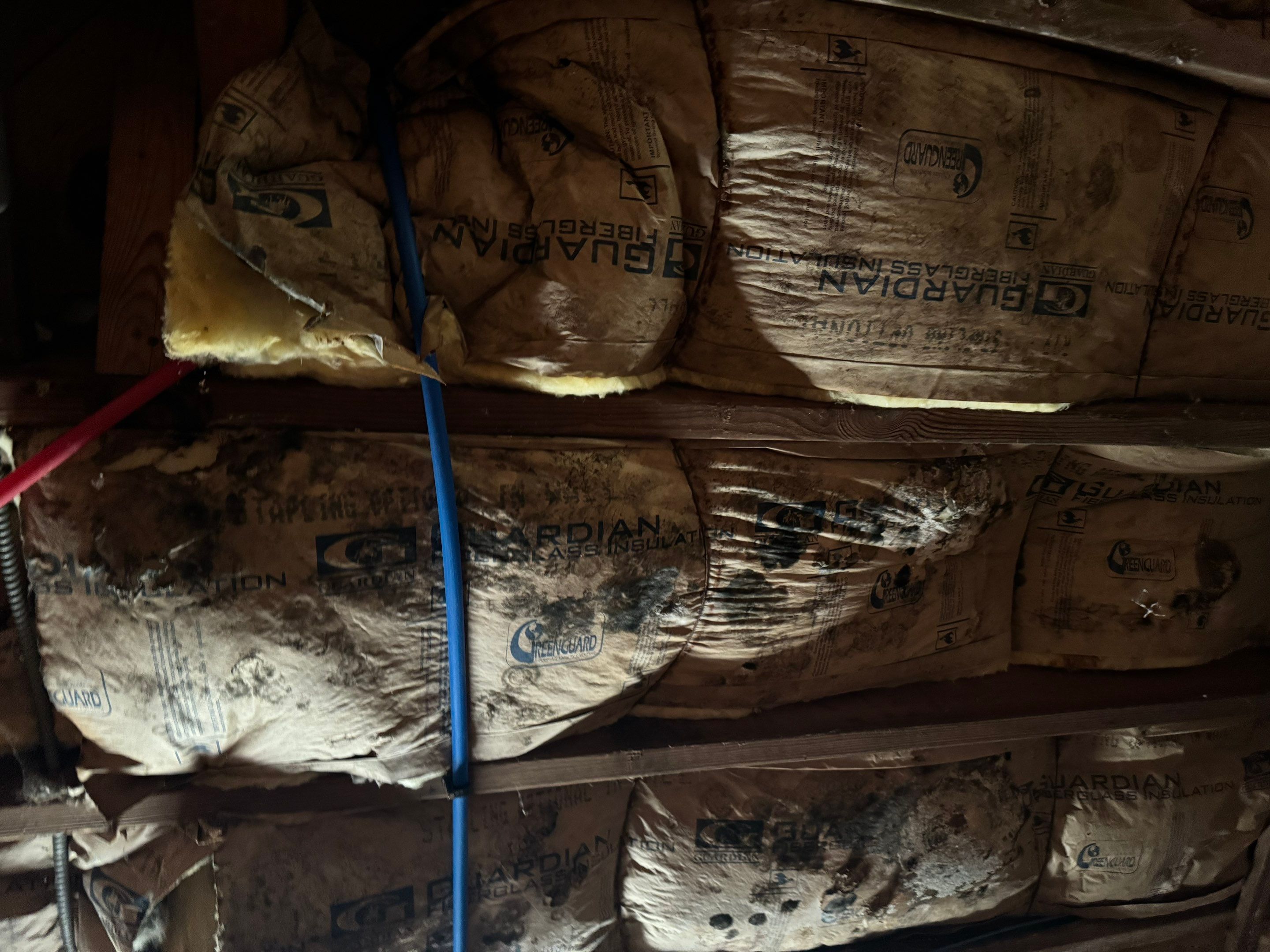 Basement Remediation by Home Guarantee, LLC
