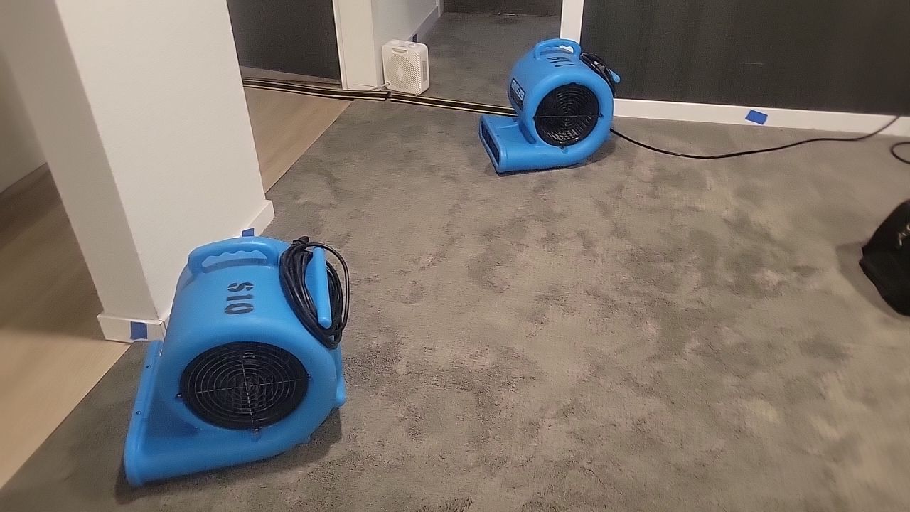 Water Damage by Accountable Home Services