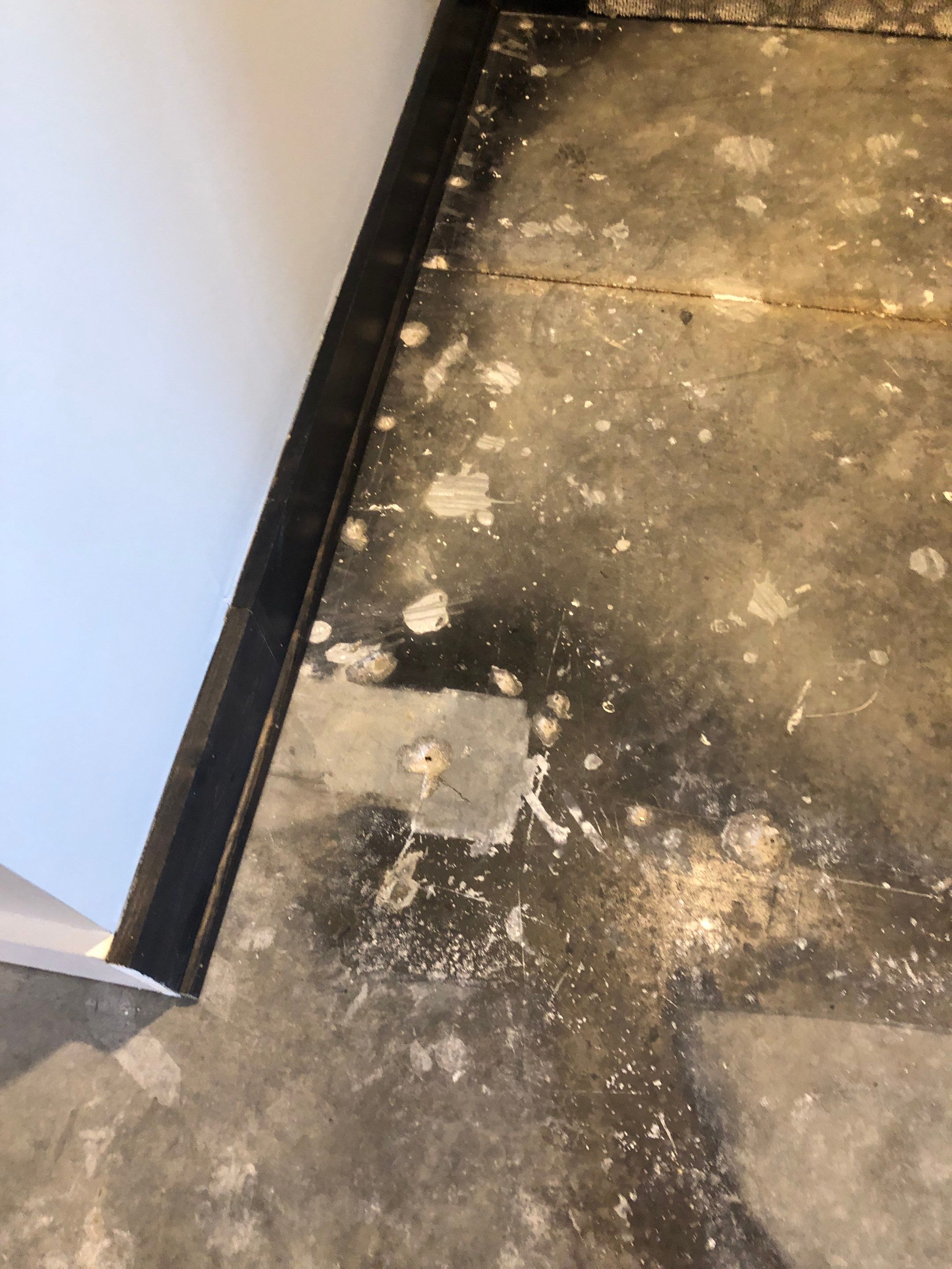 Louisburg, KS -- Basement Polish using Grey Stain by Big Red Decorative Concrete, LLC