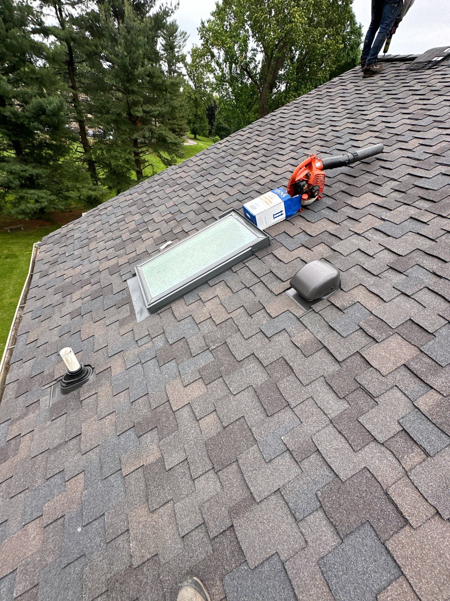 Designer Shingle Roof Replacement in Baltimore, MD • Susan S. by Seipp Roofing, LLC
