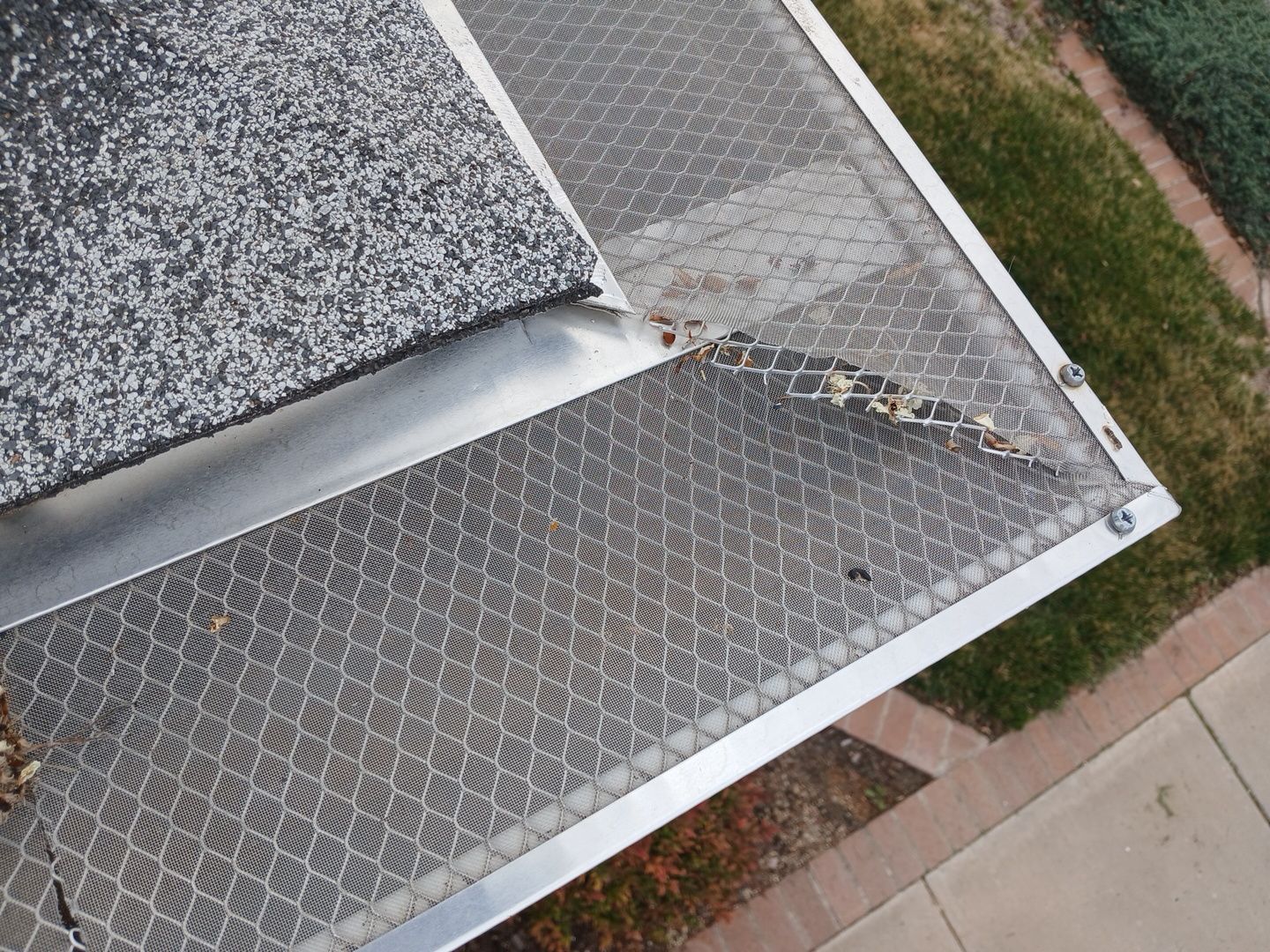 New Dome Skylights and Gutter Guard Installation in Albuquerque by Doyle Roof Masters Inc