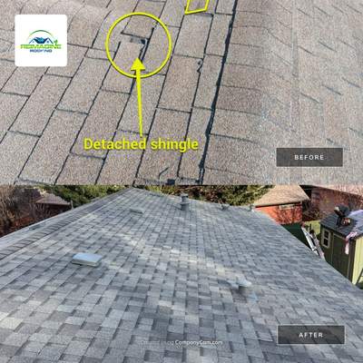 Estate Gray Shingles