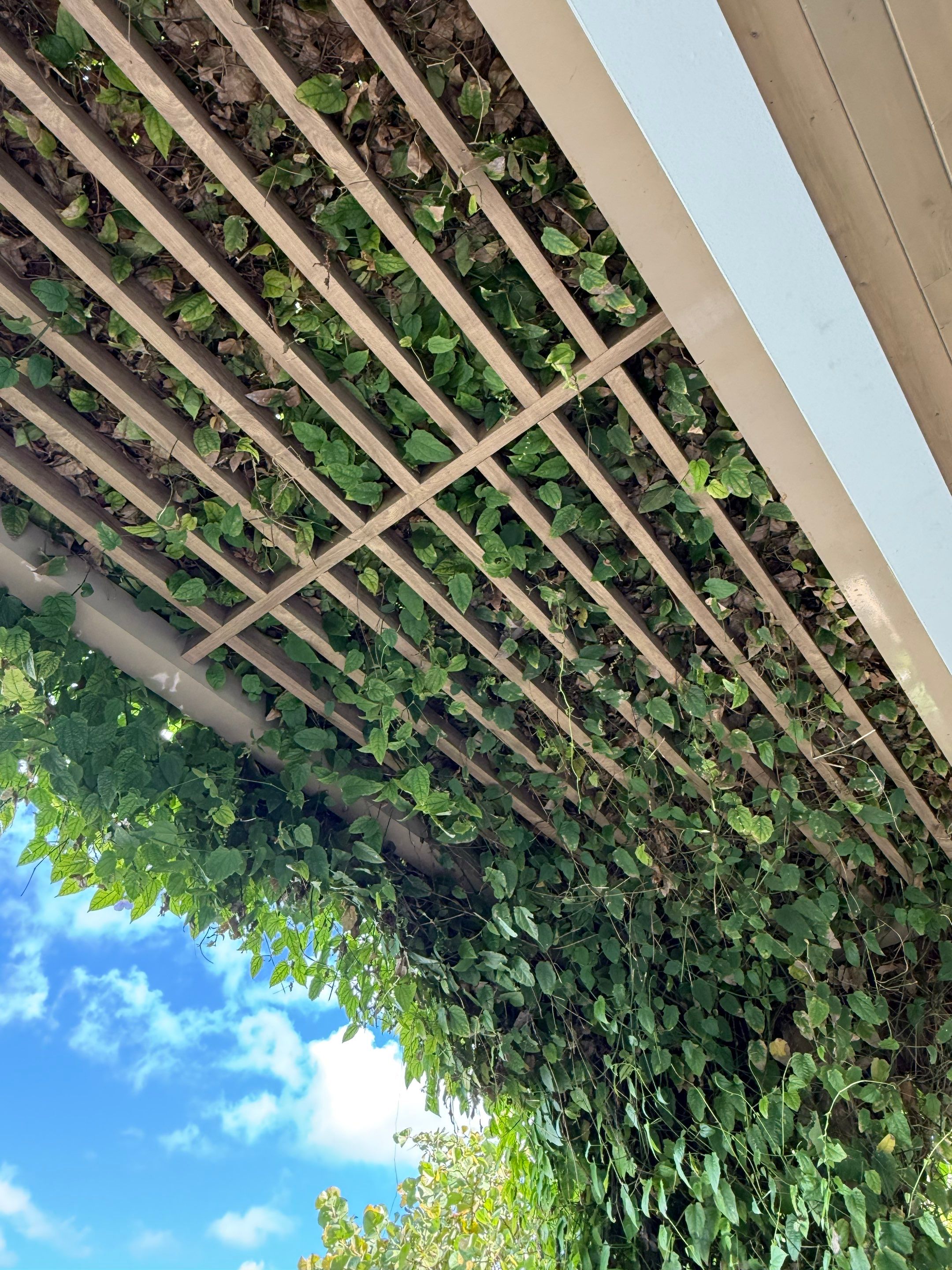 Private Residence Miami Beach by Toledo Iron Works