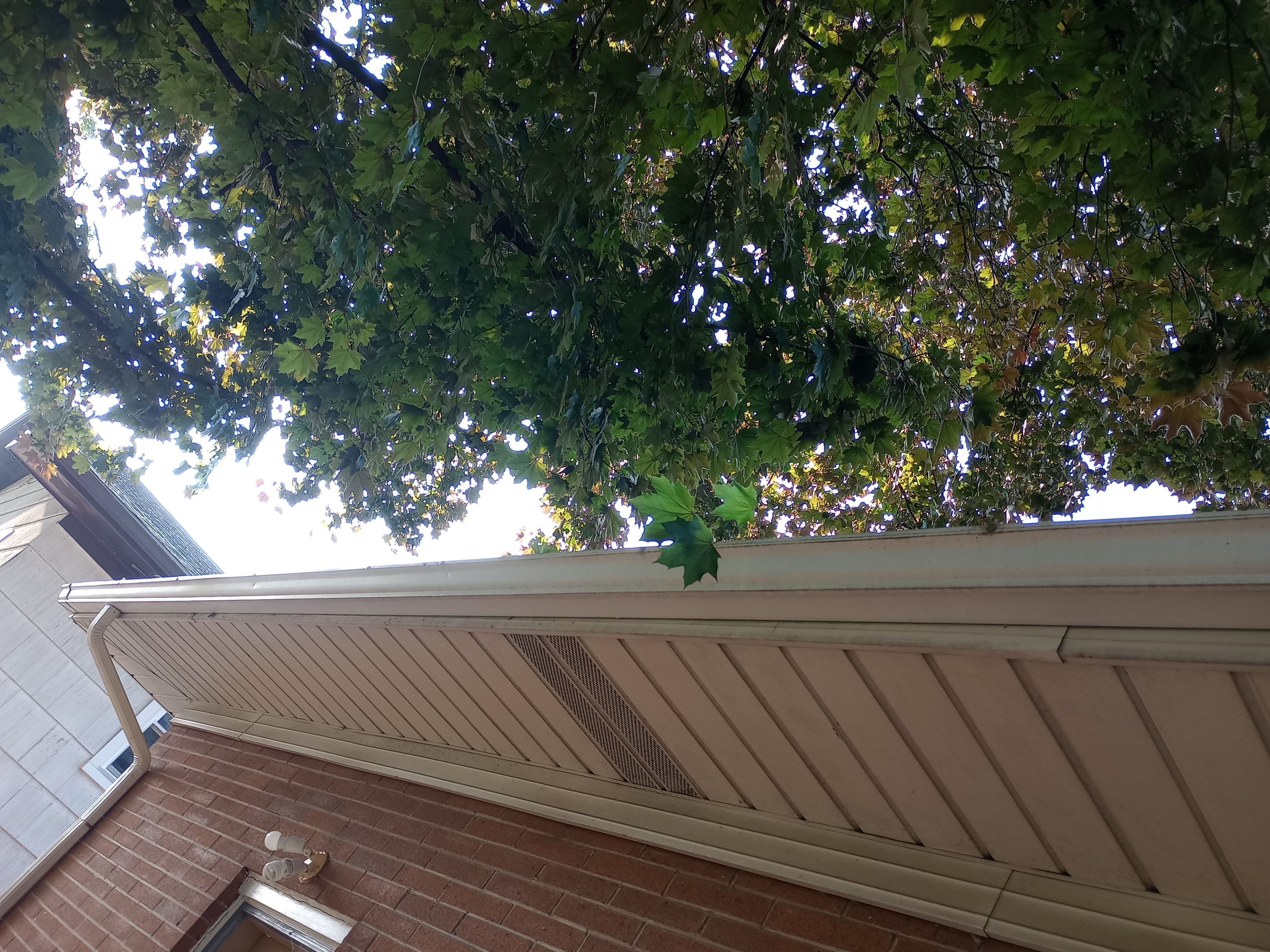 Mark Williams by Silver Leaf Contracting 