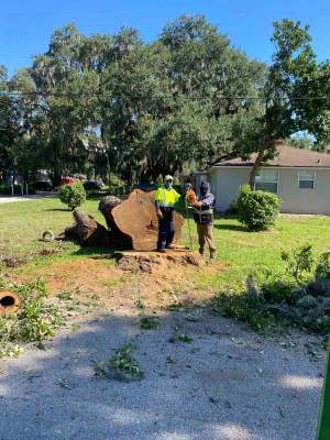 Tree Removal | Residential