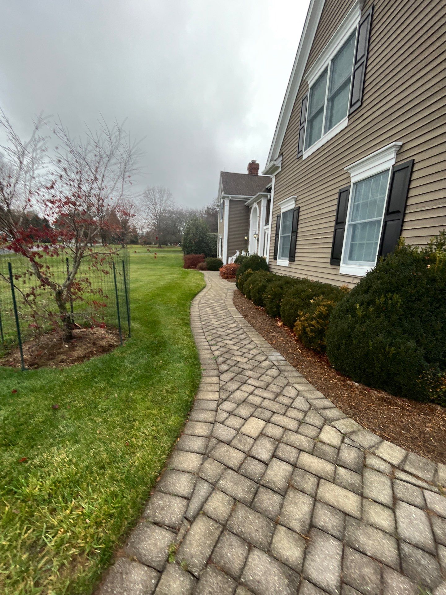 Comprehensive Ornamental Shrub Care in Peapack by Ants Plants