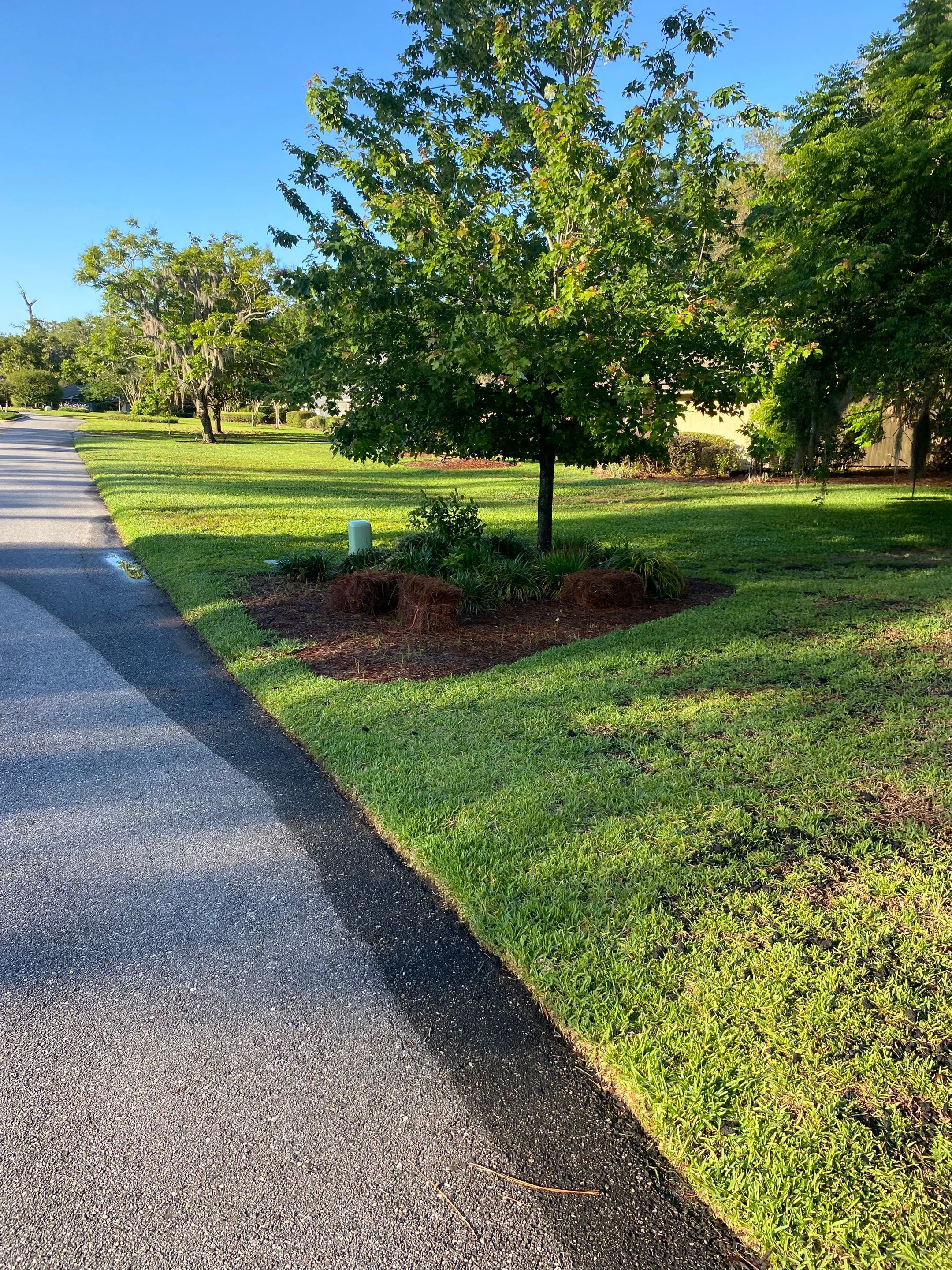 Deerwood Resident | Pine Straw & Topsoil Install by ProGreen Services