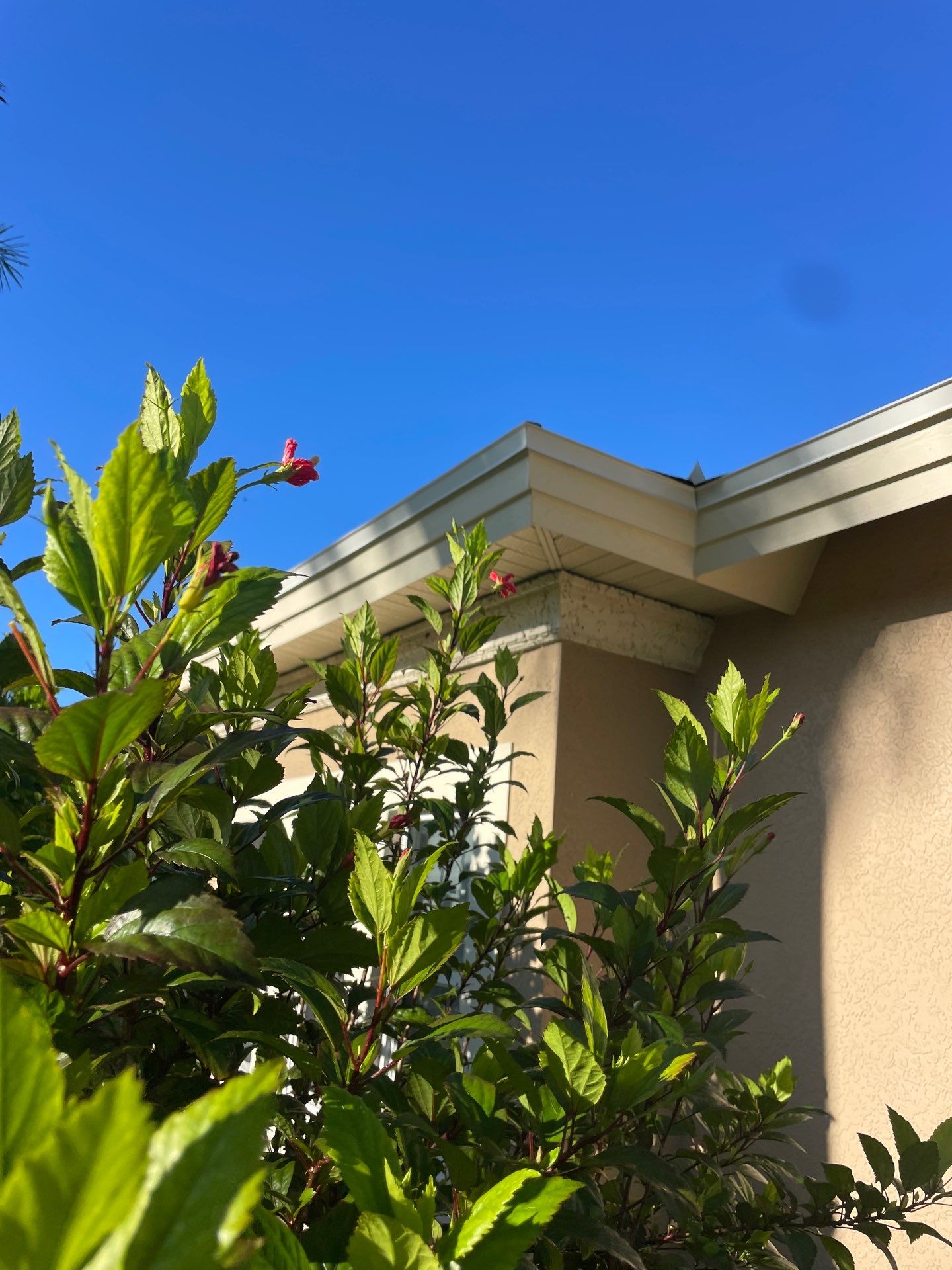 White Vinyl Soffit Installation in Fort Myers FL by Gutter Professors