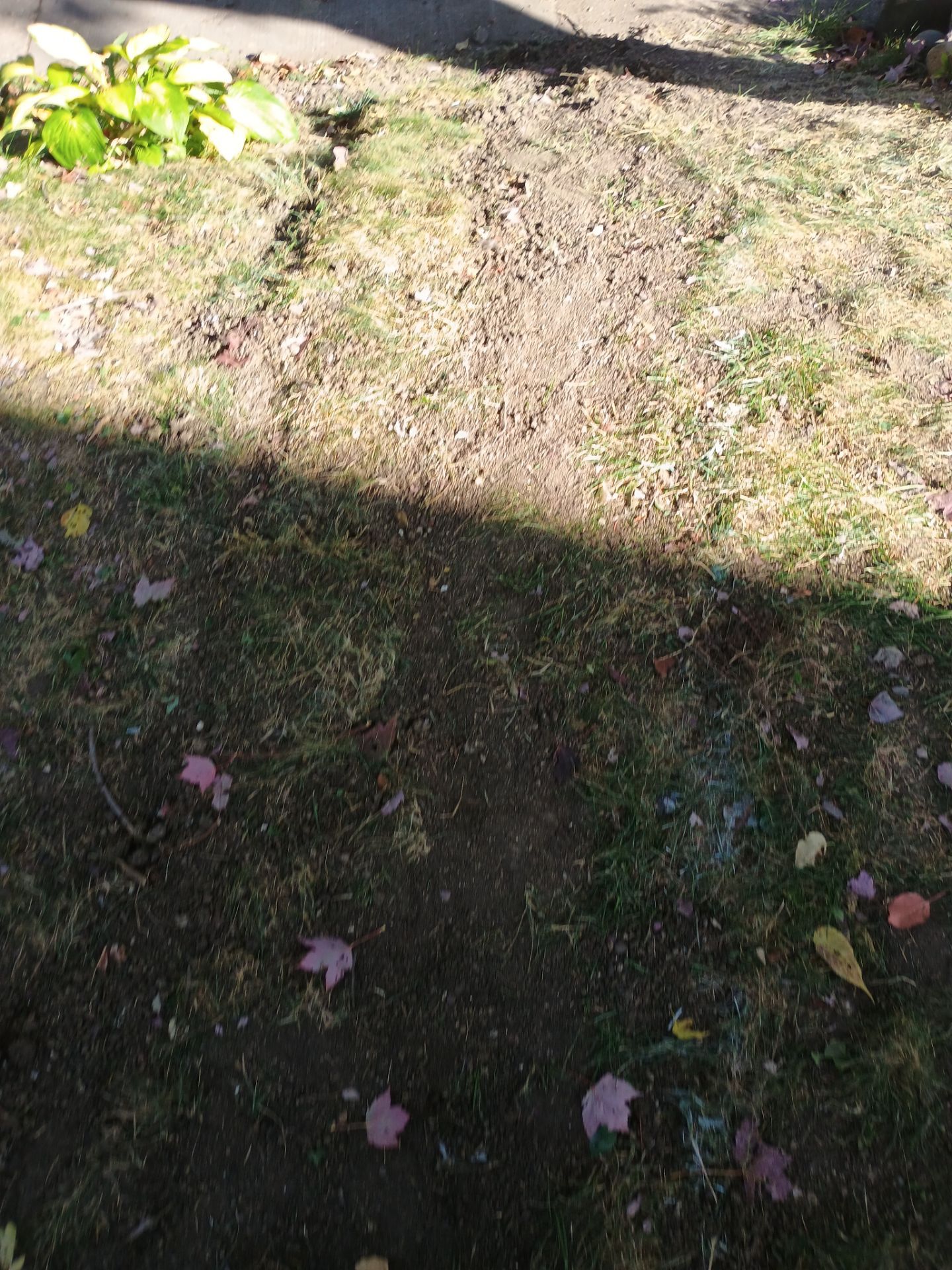 French Drain Installation for Michael by Waterproofing Northeast