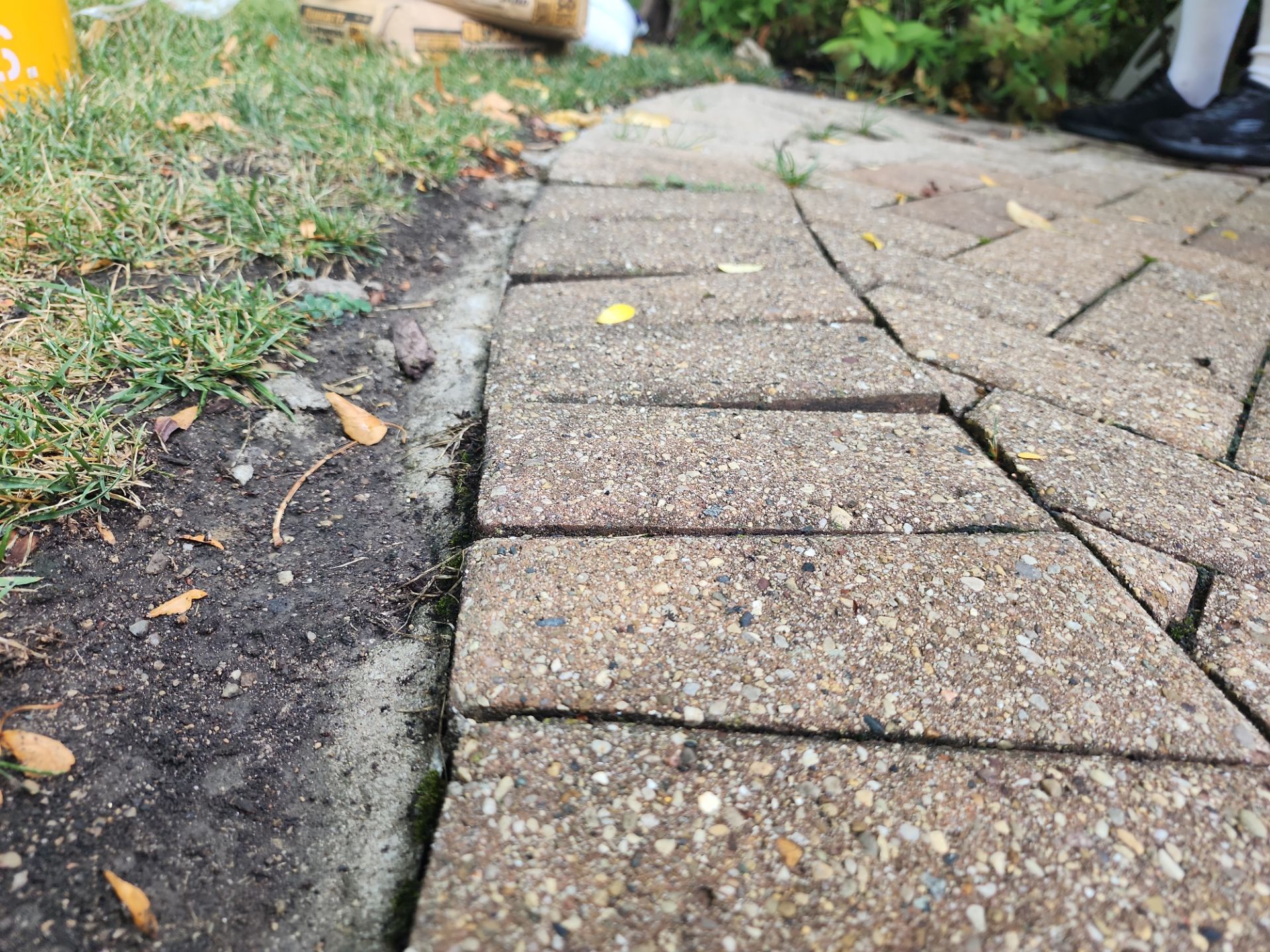 Arlington Heights Brick paver repair, cleaning and sealing by Northern Power Washing LLC.