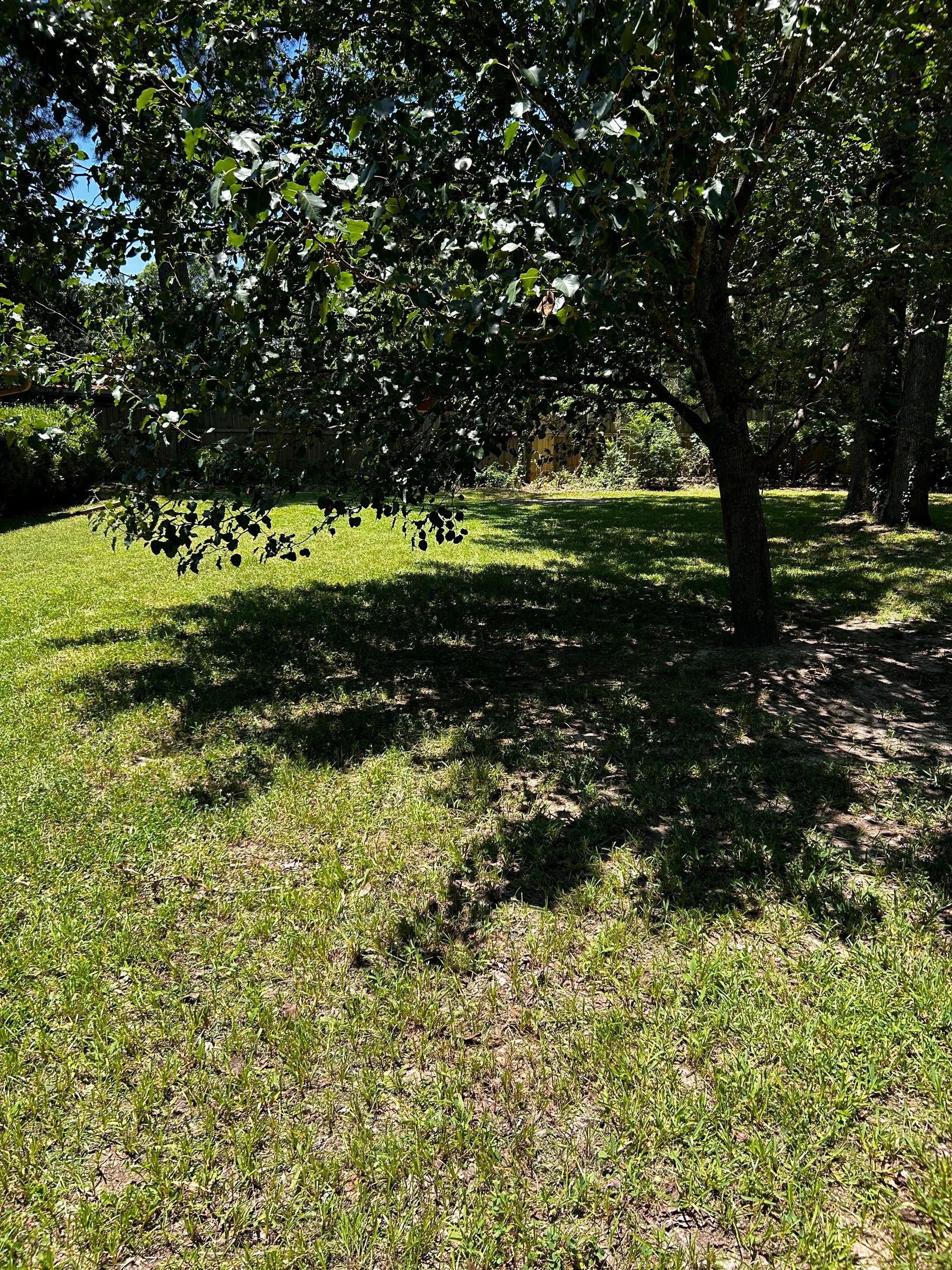 Bi Weekly Lawn Mowing and Edging by College Bros Outdoor services