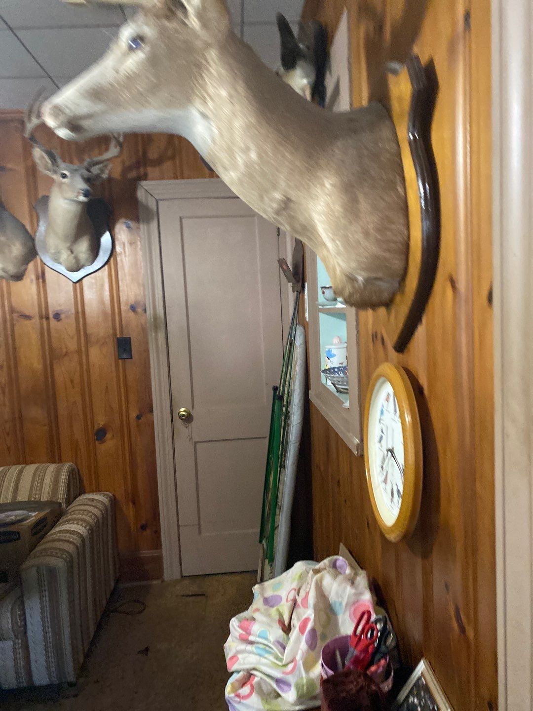 1946 Raleigh Kitchen Remodel — Vintage Charm, Modern Function by Elite Remodeling and Design LLC