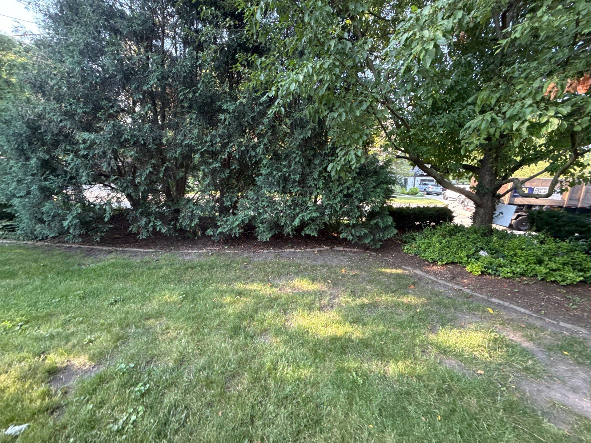 Lisa A. - Arlington Heights, IL by A&N