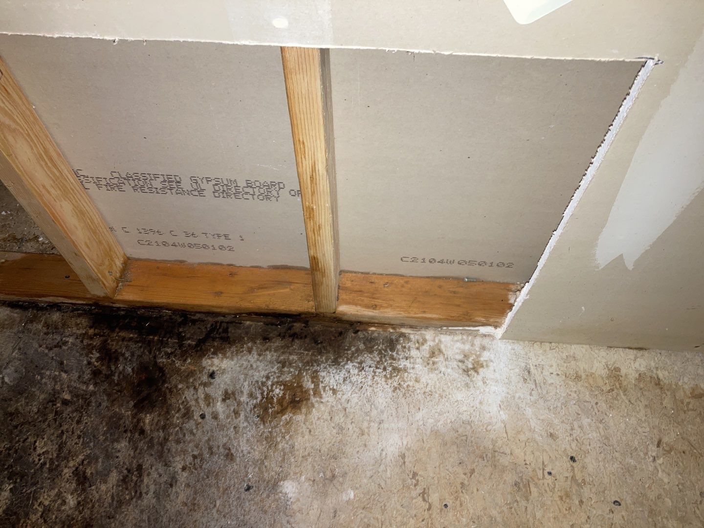 Mold Remediation in Kitchen by Accountable Home Services