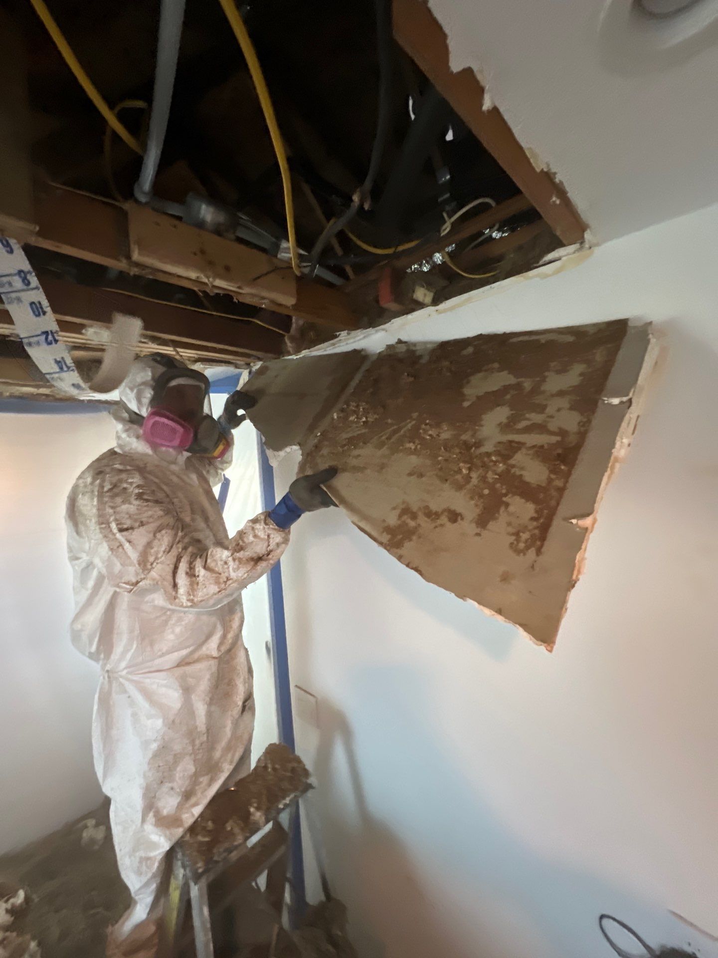 Windstorm Damage & Multi-Room Water Mitigation in St. Petersburg by Right On Time Restoration