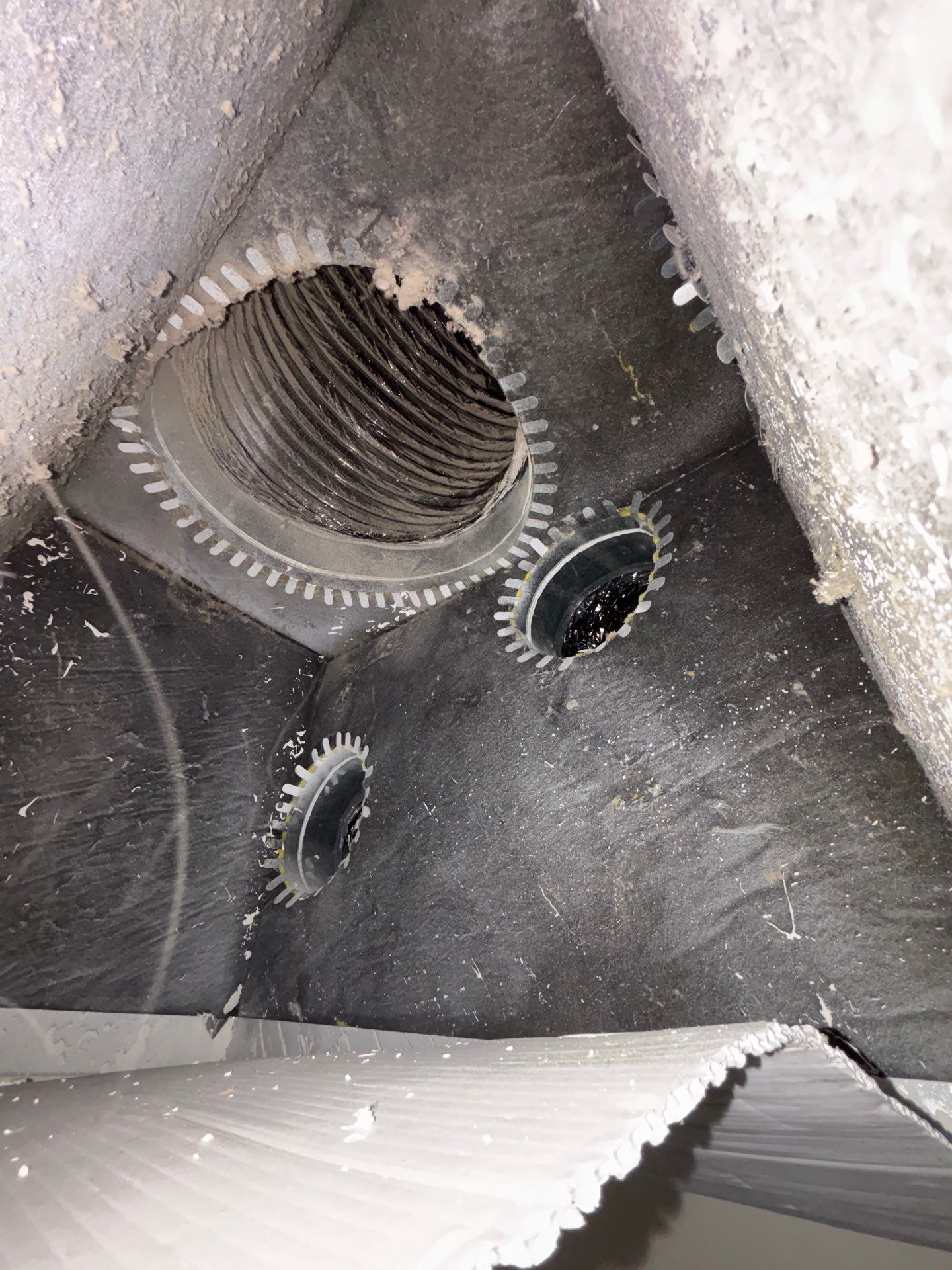 Air Duct Cleaning in Clermont by Hygienic Air, Inc