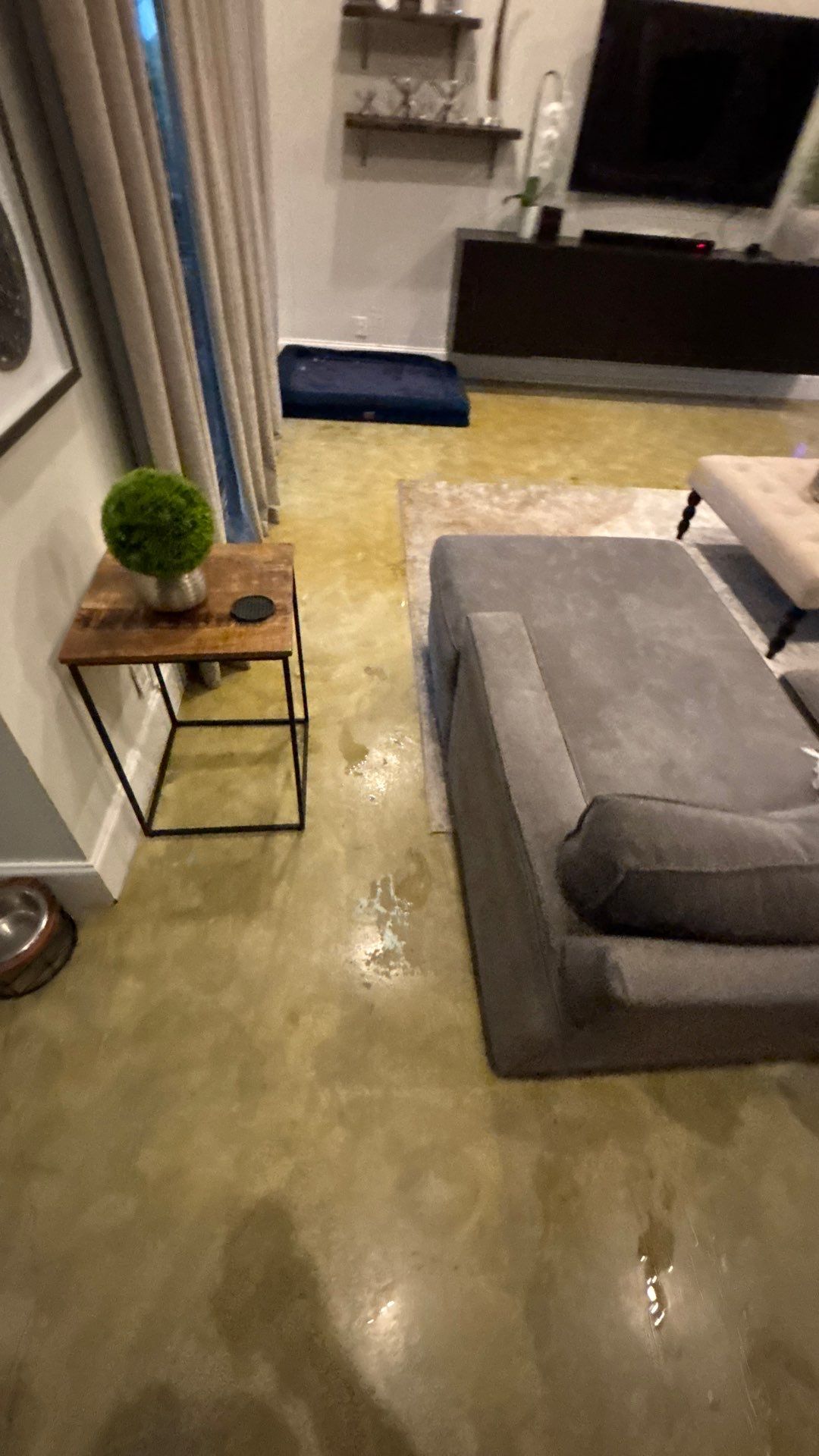 Wellington Water Damage Restoration with Thermal Imaging and Extraction by SuperClean 