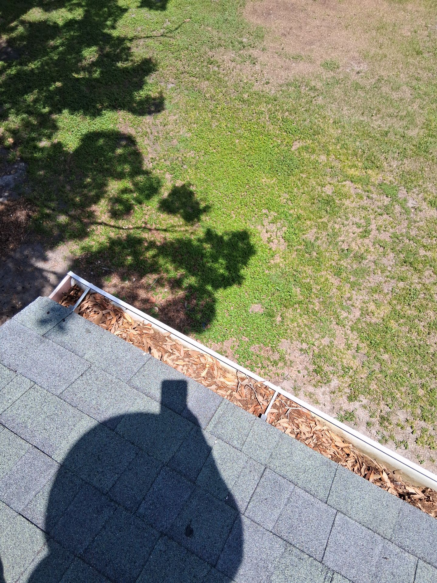 Commercial gutter cleaning Daytona Beach before photo with filled gutters