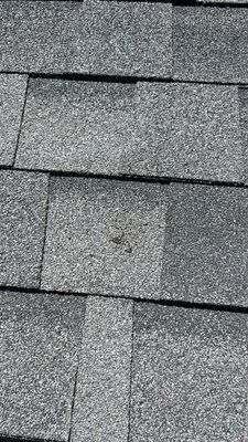 Project in Littleton