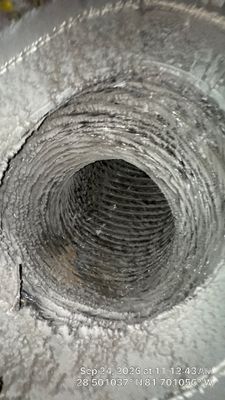 Air Duct Cleaning & Access Sealing in Clermont