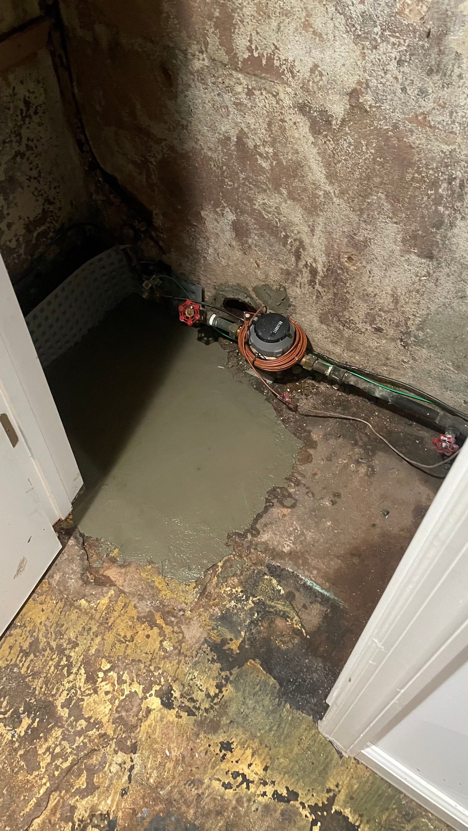 Interior French Drain Job in Lyndhurst, NJ by Pure Service Pro, LLC 