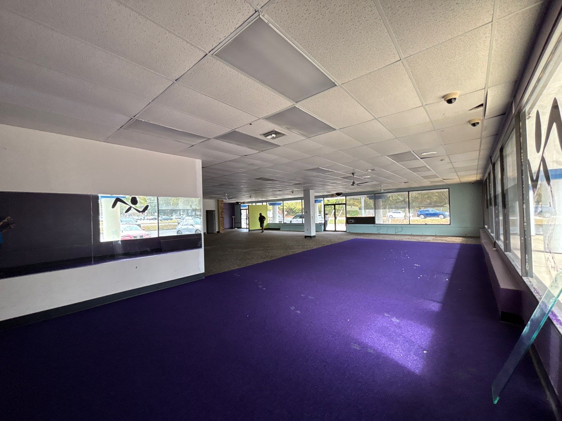 Natural Bodyz Fitness by AKK Painting LLC