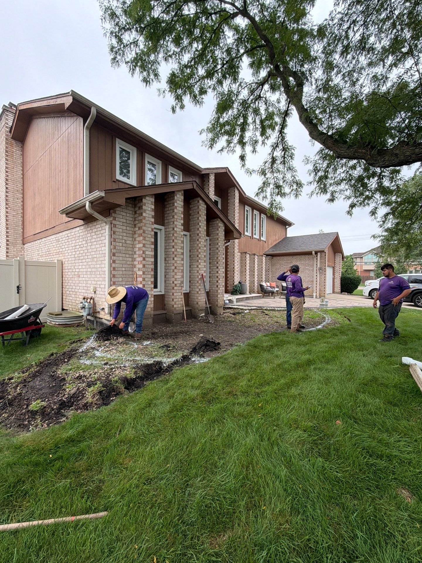 Marie R. - Glenview, IL by A&N 