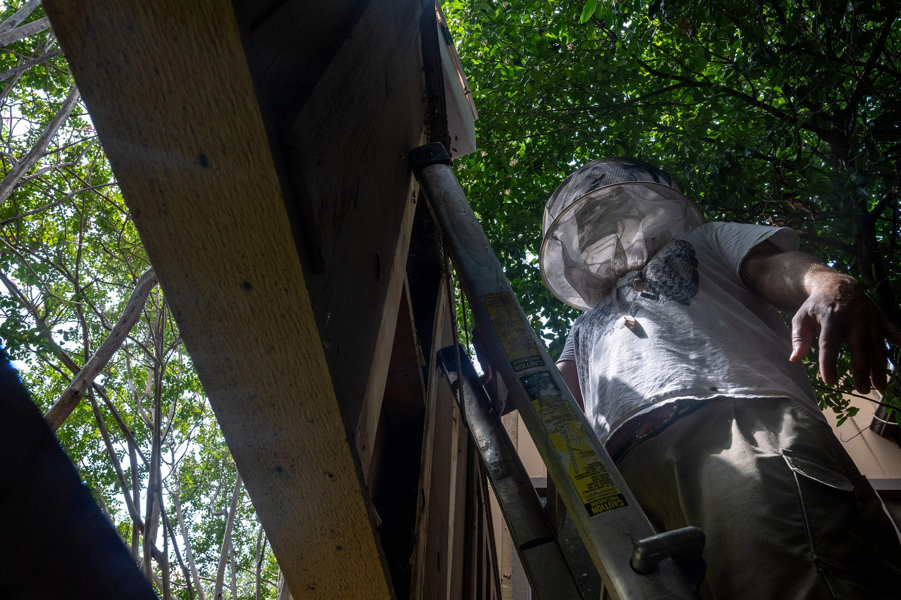 Condo Patio by Rockwall Honey Bee Company
