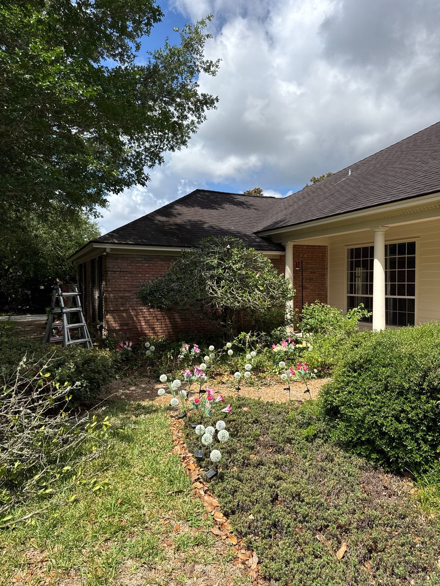Deerwood Resident | Tree Trimming by ProGreen Services