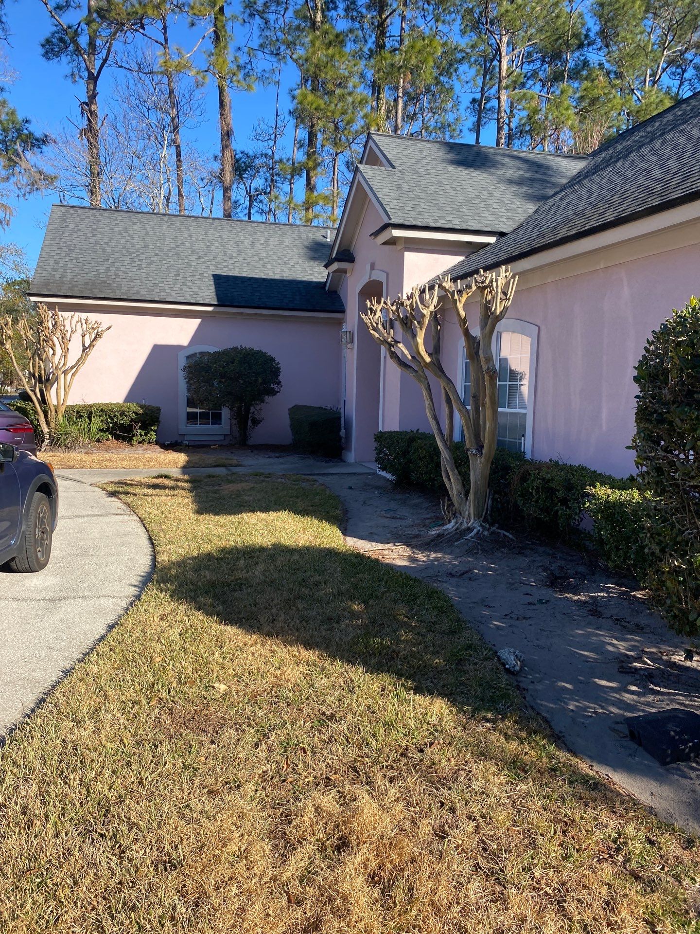 Deerwood Resident | Tree Removal & Clean-Up by ProGreen Services