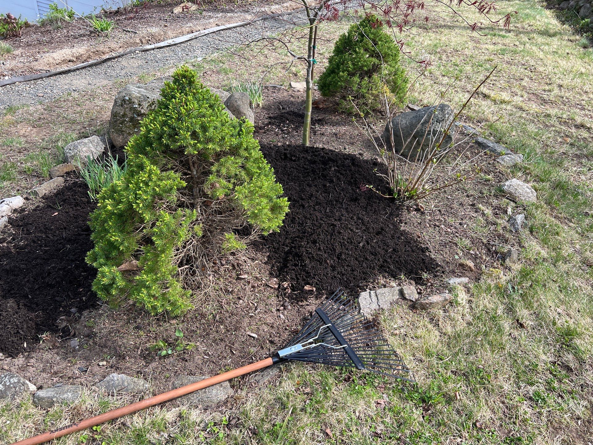 Complete Residential Spring Cleanup and Shrub Pruning in New Haven by Diamond Image LLC
