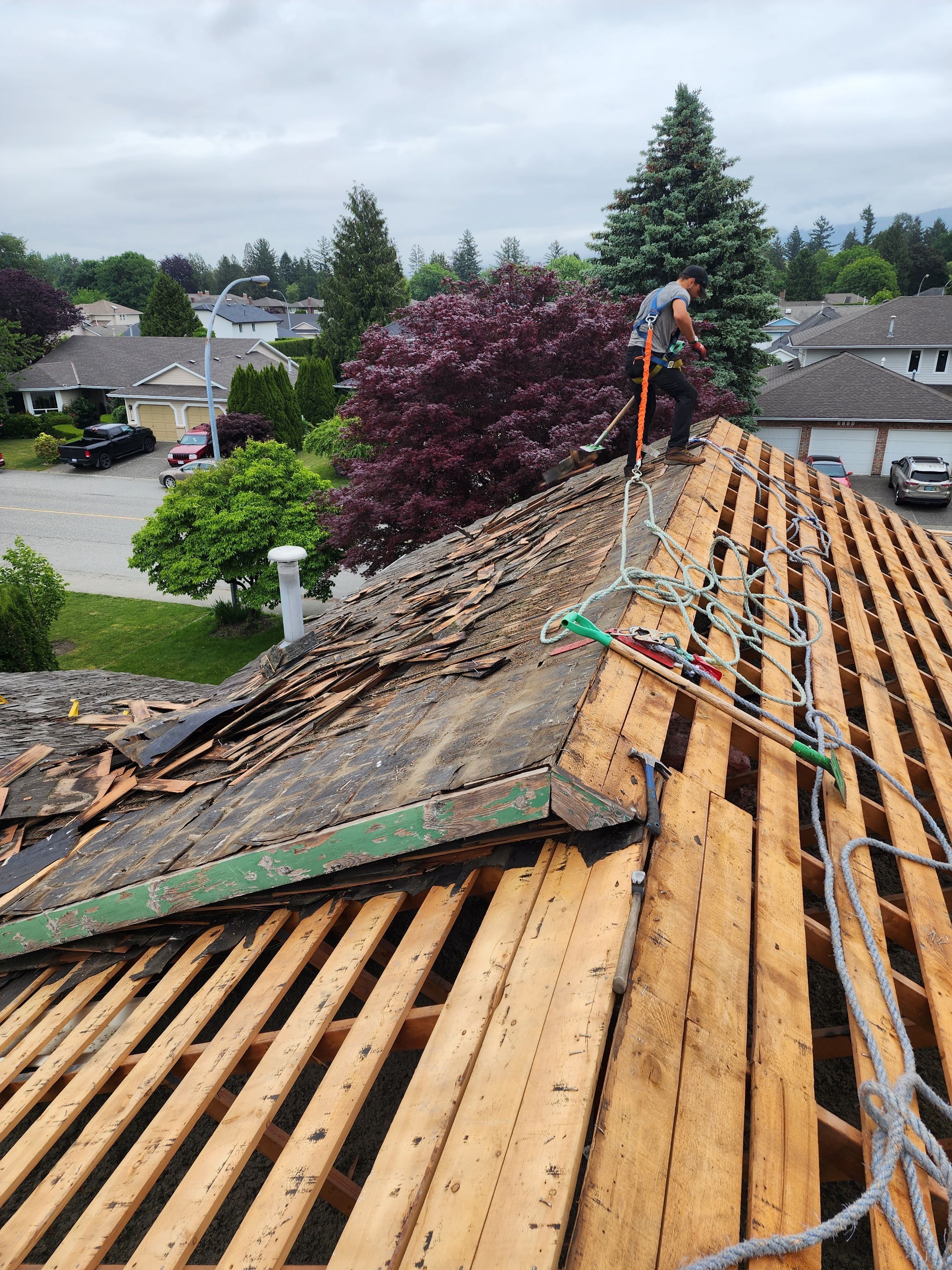 Residential Cedar ReRoofing Installation using OC Oakridge shingles by Top Notch Roofing Inc