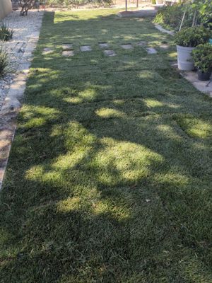 Project in Yuba City