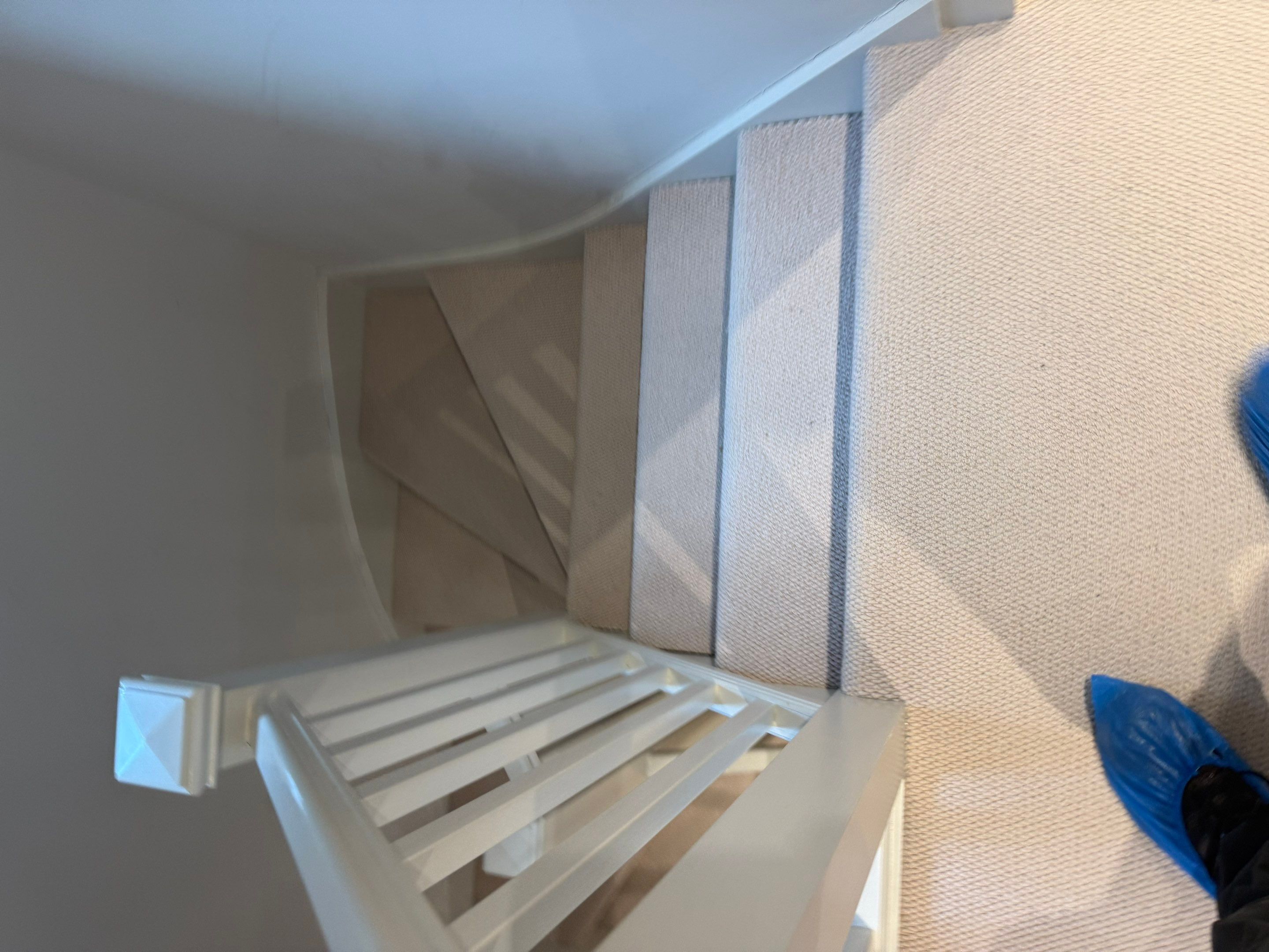 Carpet and Upholstery cleaning by Ges Exterior Cleaning ltd