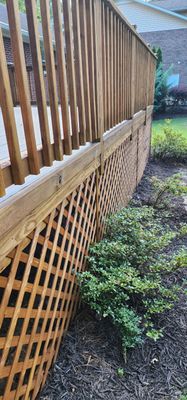 Deck Staining using Walnut by SSE