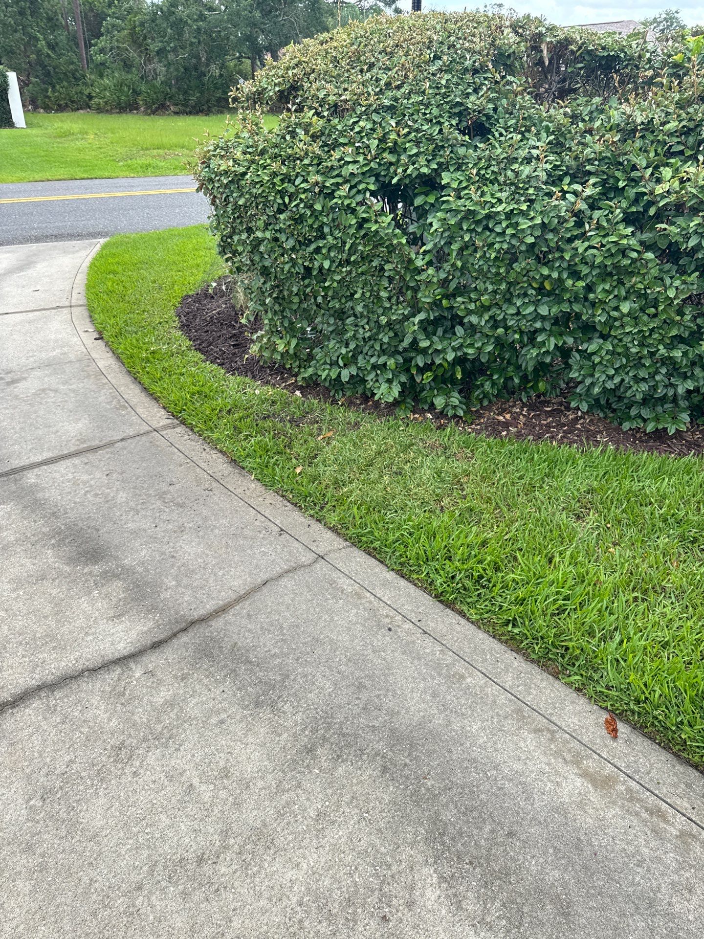 Deerwood Resident | Sod & Plant Installation by ProGreen Services