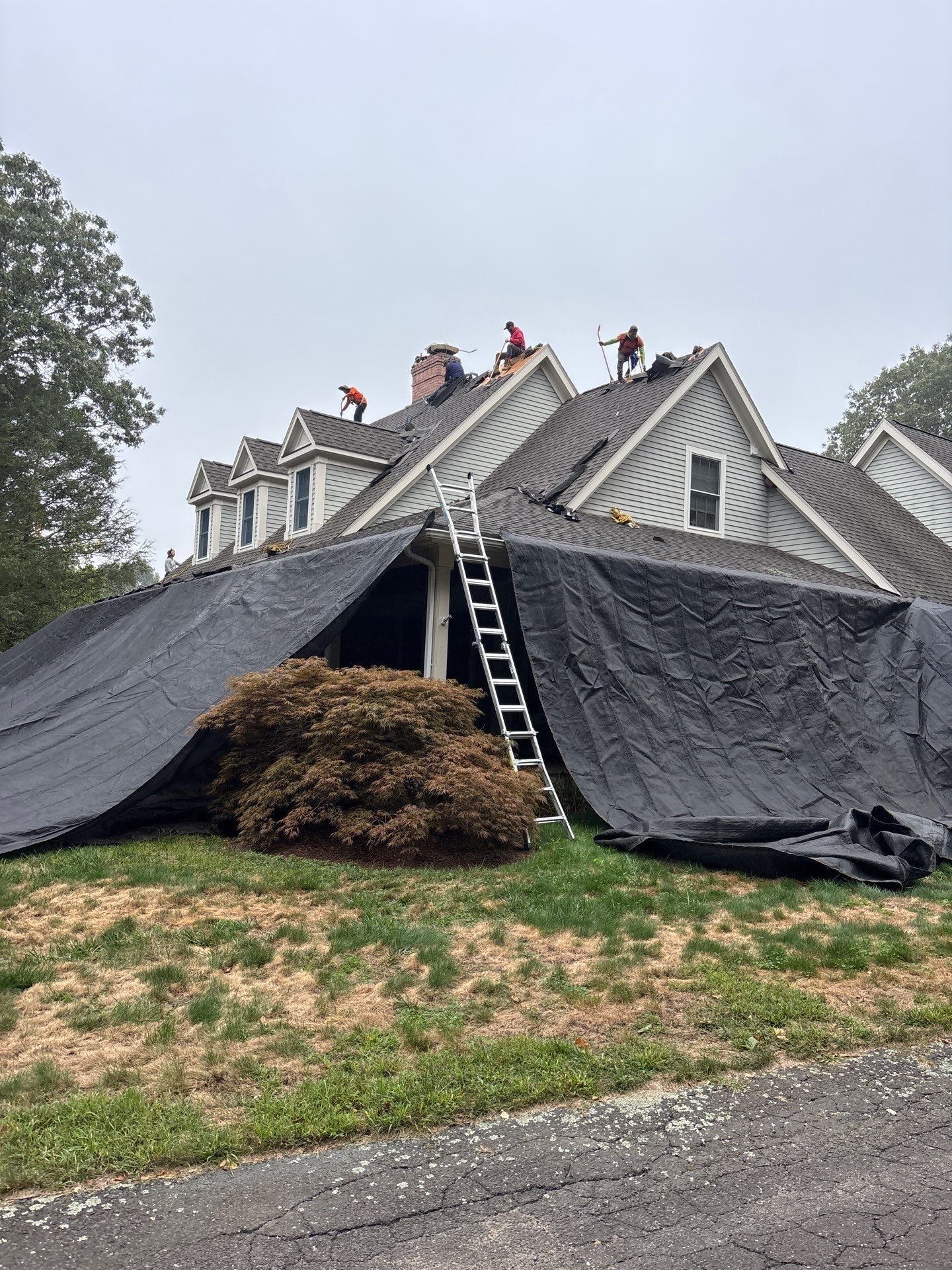 Marlborough by All site builders LLC
