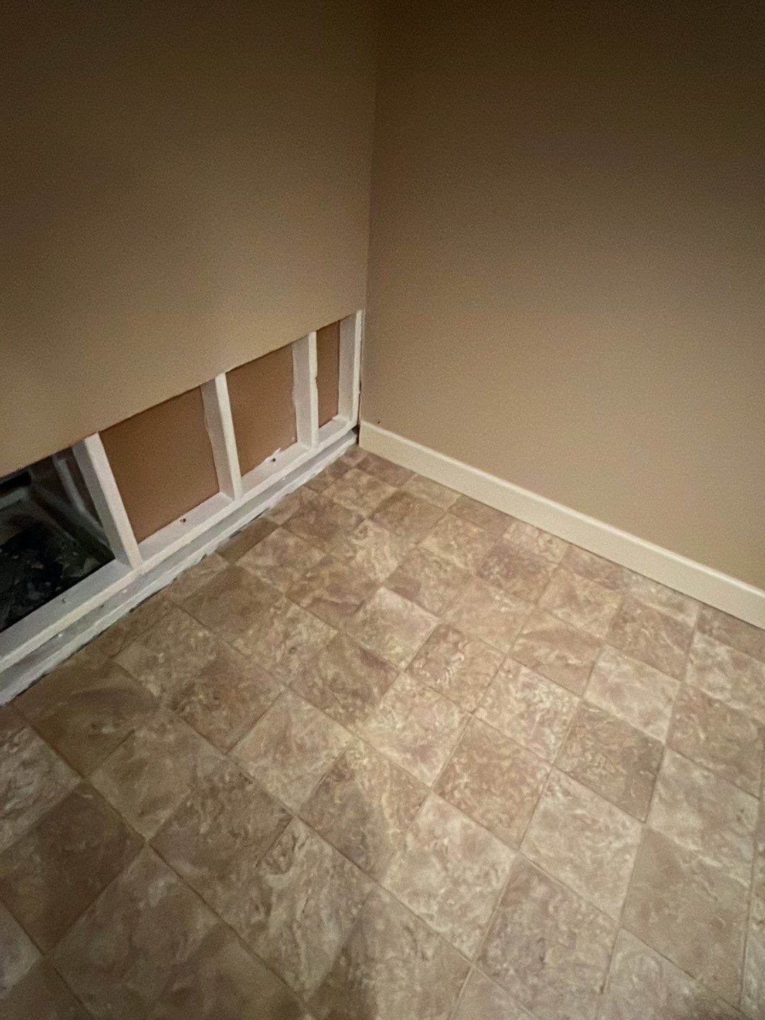 Mold Damage by Accountable Home Services