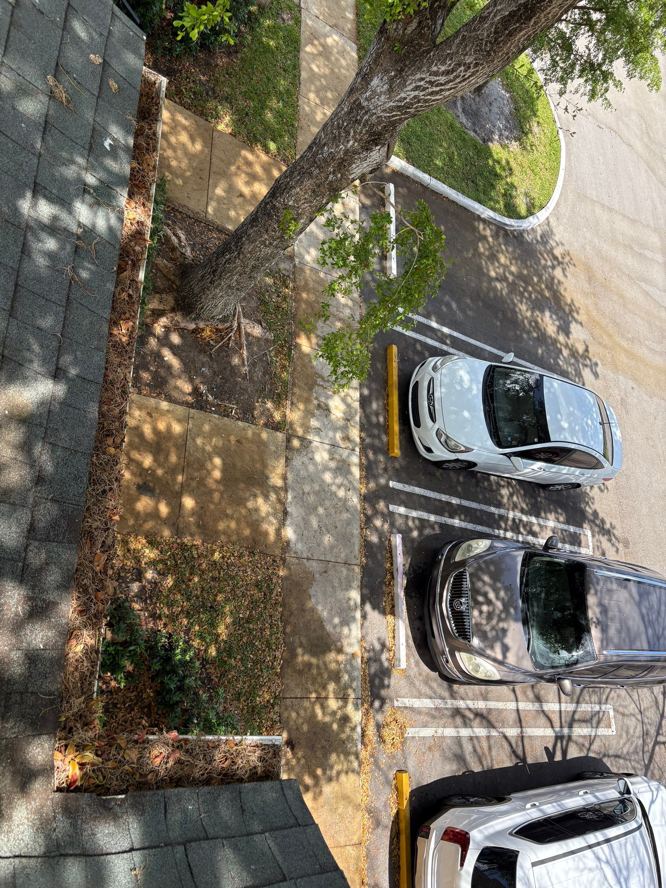 Commercial gutter cleaning Coral Springs & Pompano Beach, FL before photo with filled gutters