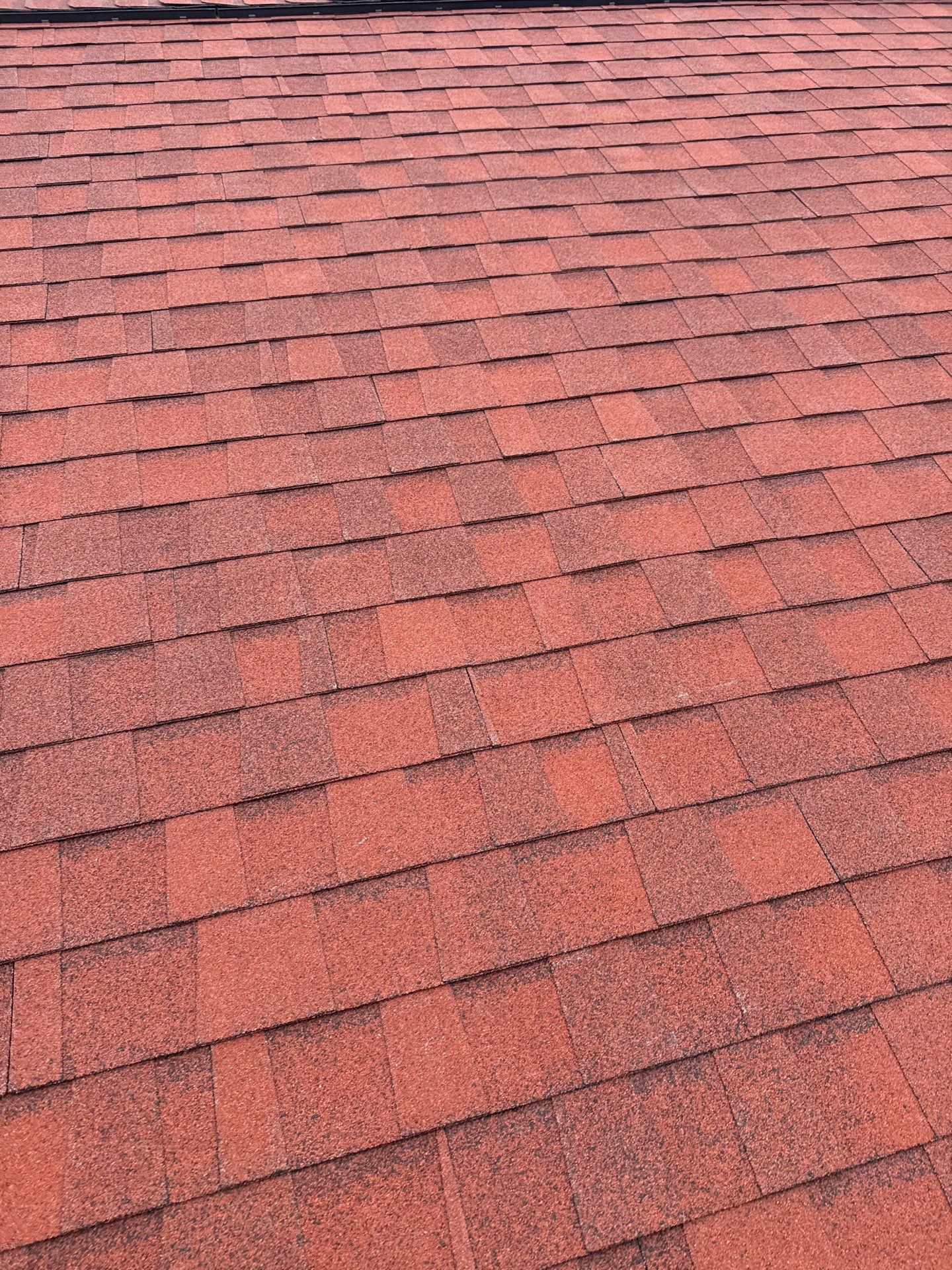 Springfield: Residential Roof Replacement with CertainTeed Landmark Pro in Max Def Red Oak by RM Banning, Inc.