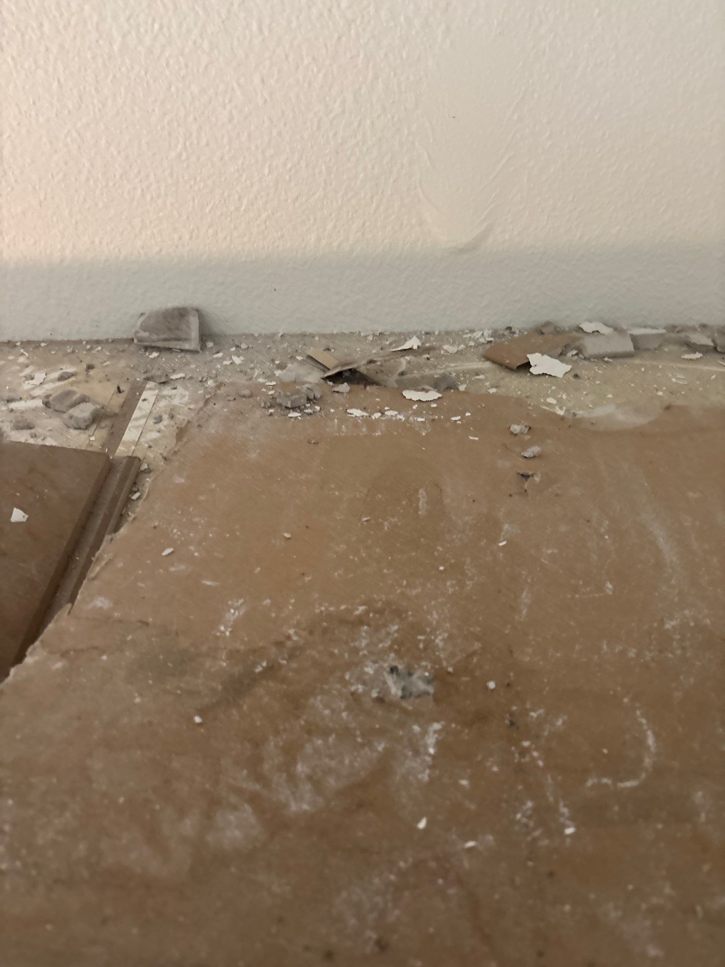 Mold Damage Inspection And Removal In North Port, FL by Ampm Restoration Services