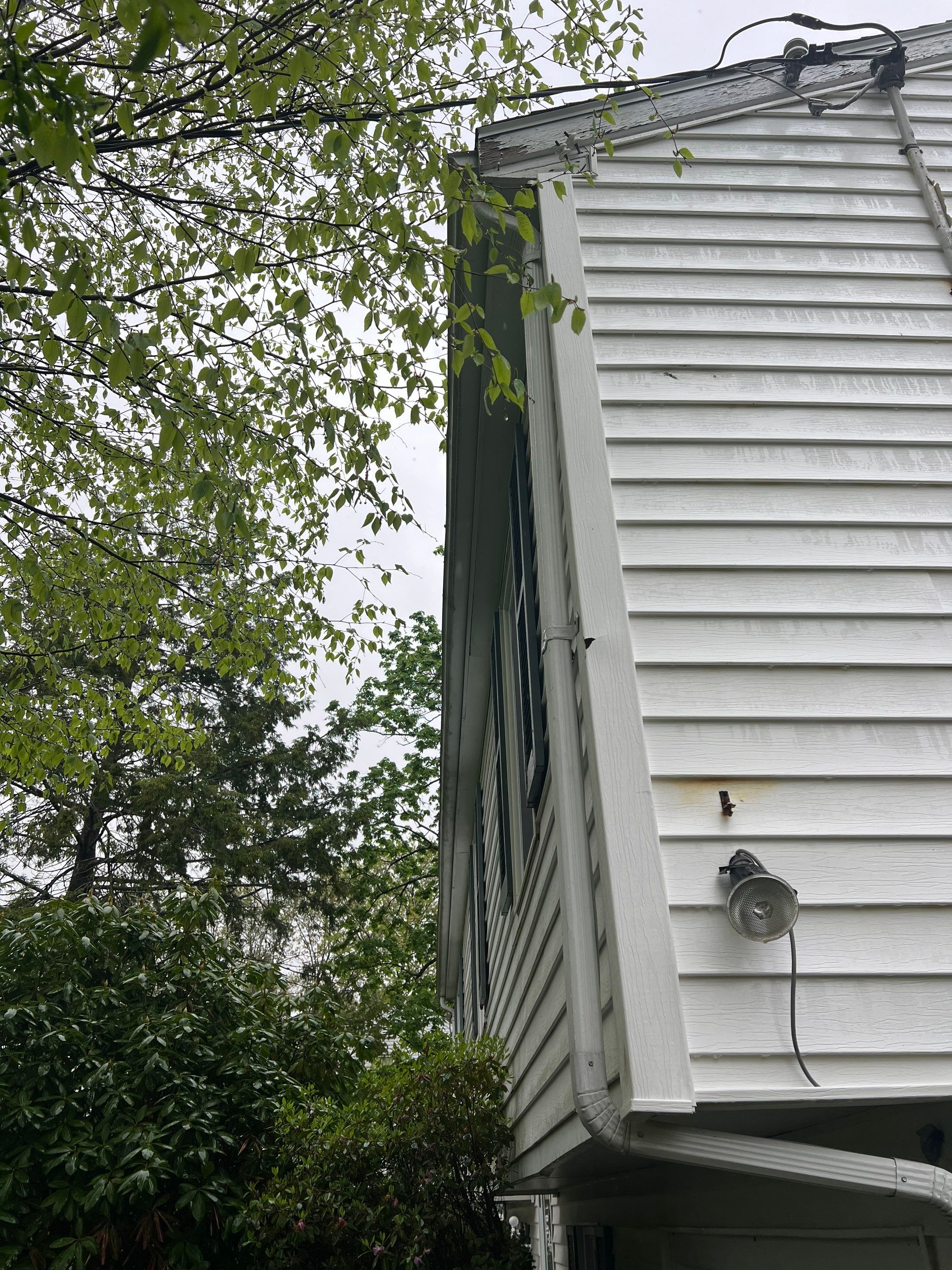 Gutters & Roofing | Acton by Mighty Dog Roofing of Greater Middlesex County