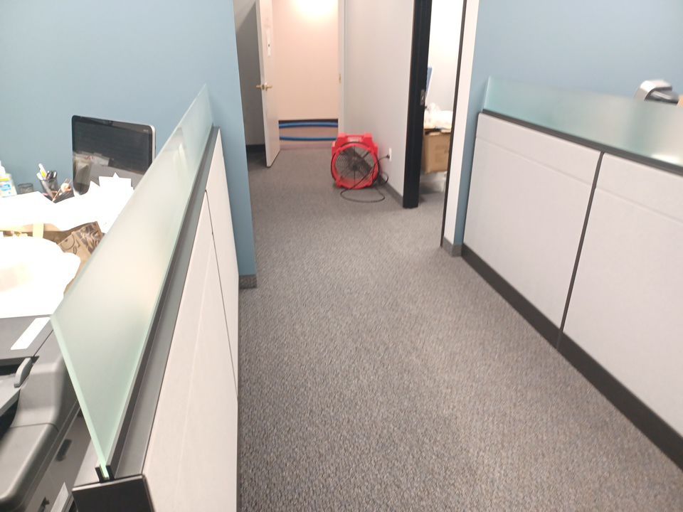 Project in Southfield by EzDry Water Mitigation & Property Restoration