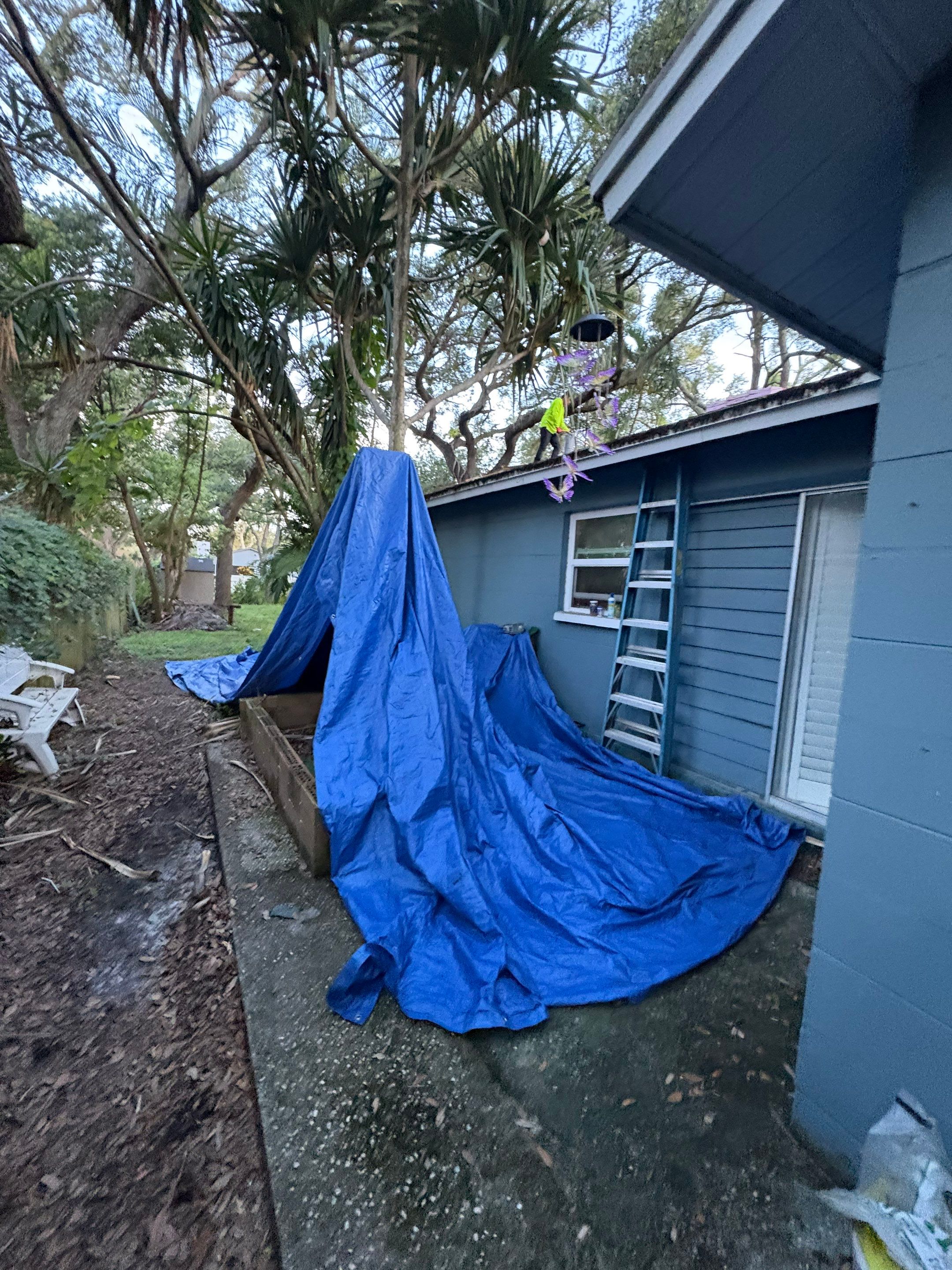 Project in Pinellas Park 33781 by Mitchell Roofing Company LLC 