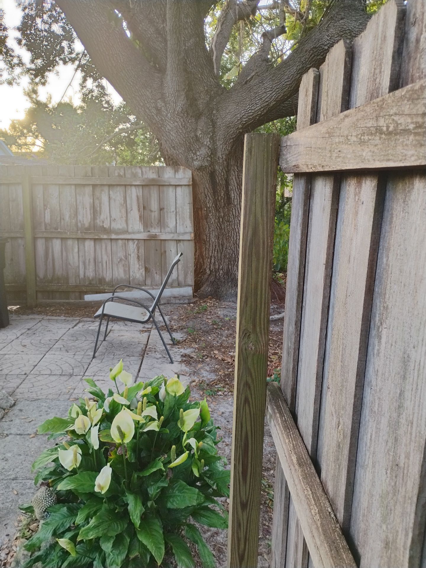 3946 Woodrow St.  by H&Y Fence