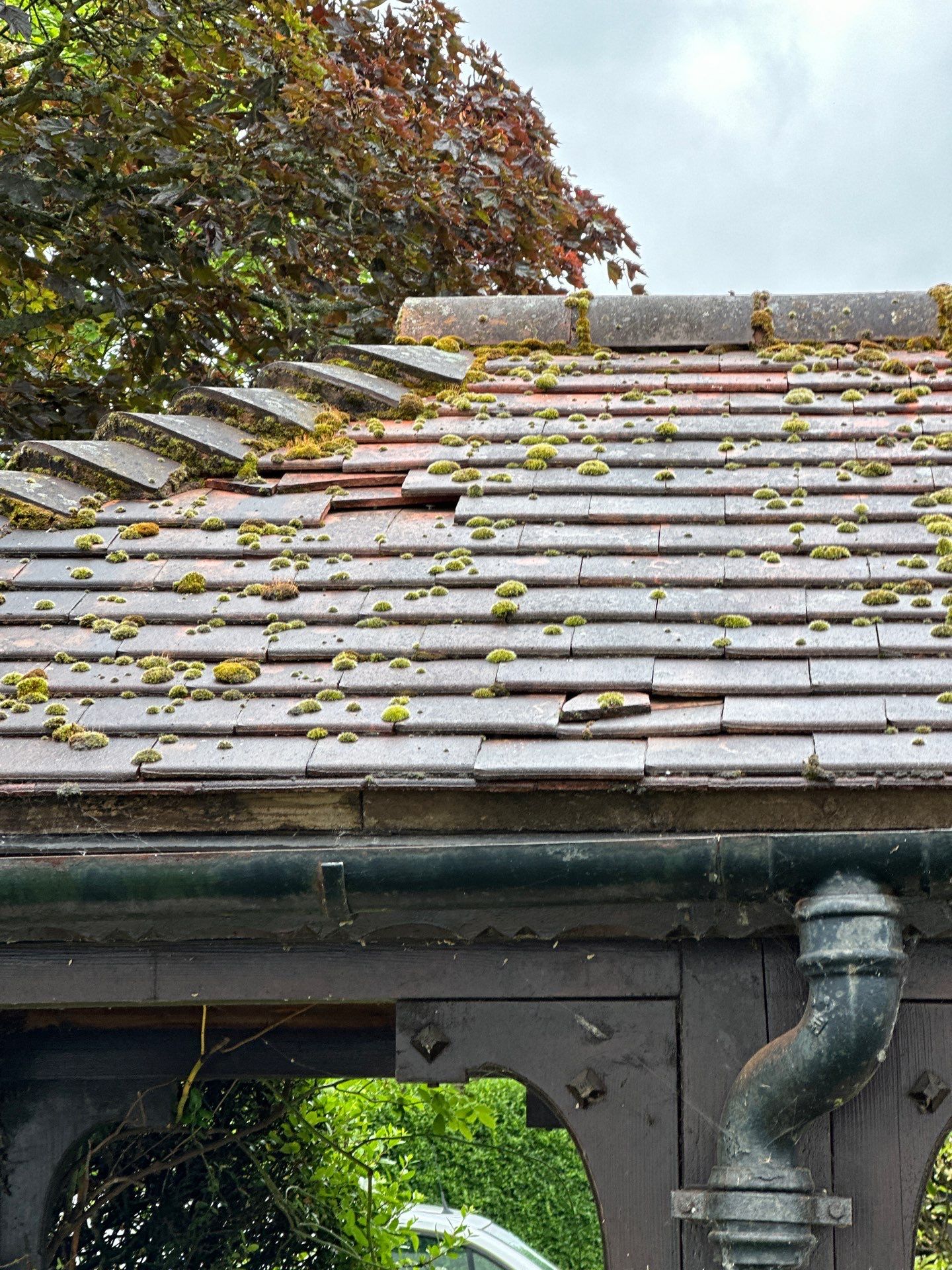 Roof Clean  - Moss Removal - Gutter Clean using Honda 15lpm Low Pressure Washing Machine by Ges Exterior Cleaning ltd