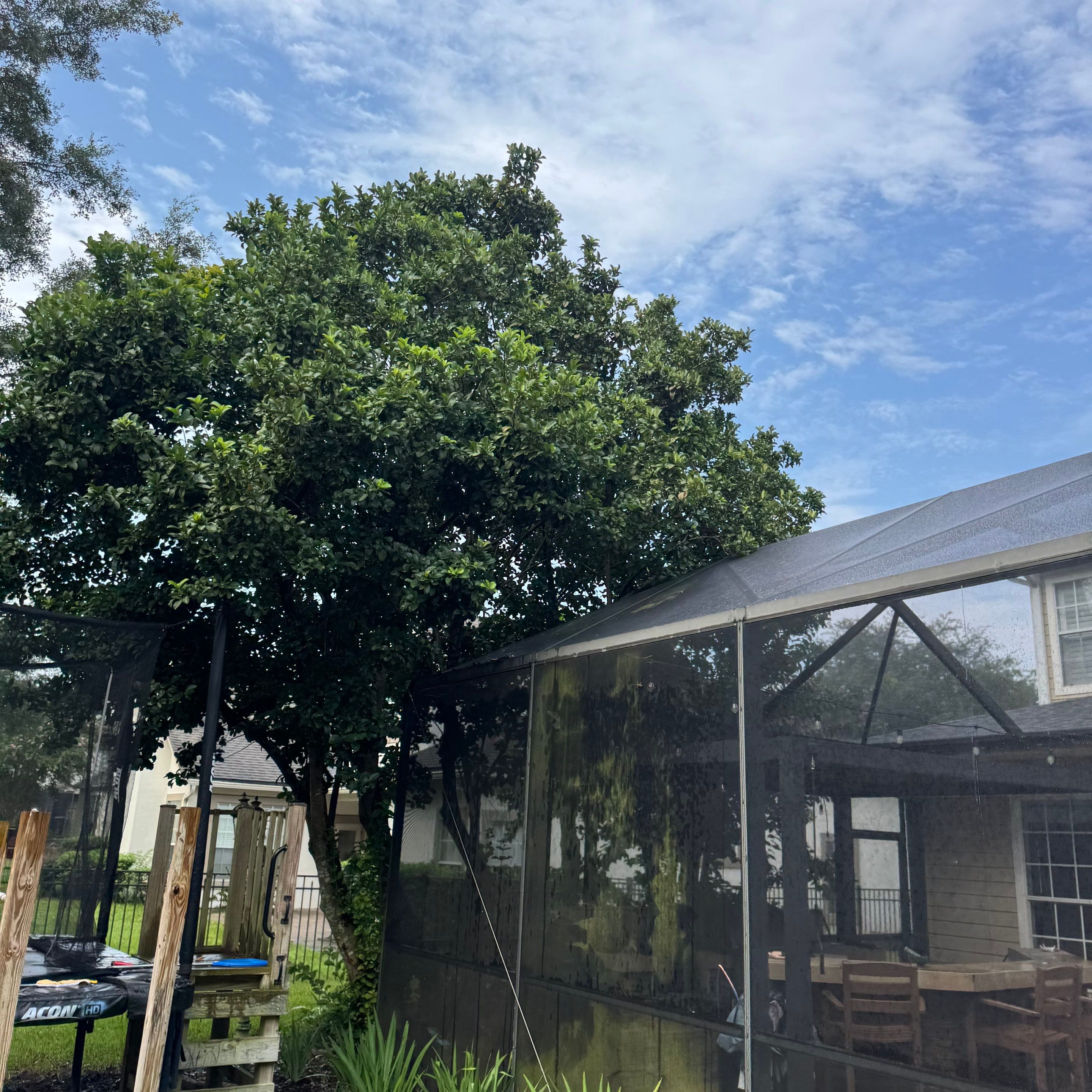 Residential | Sod Installation & Tree Trimming by ProGreen Services