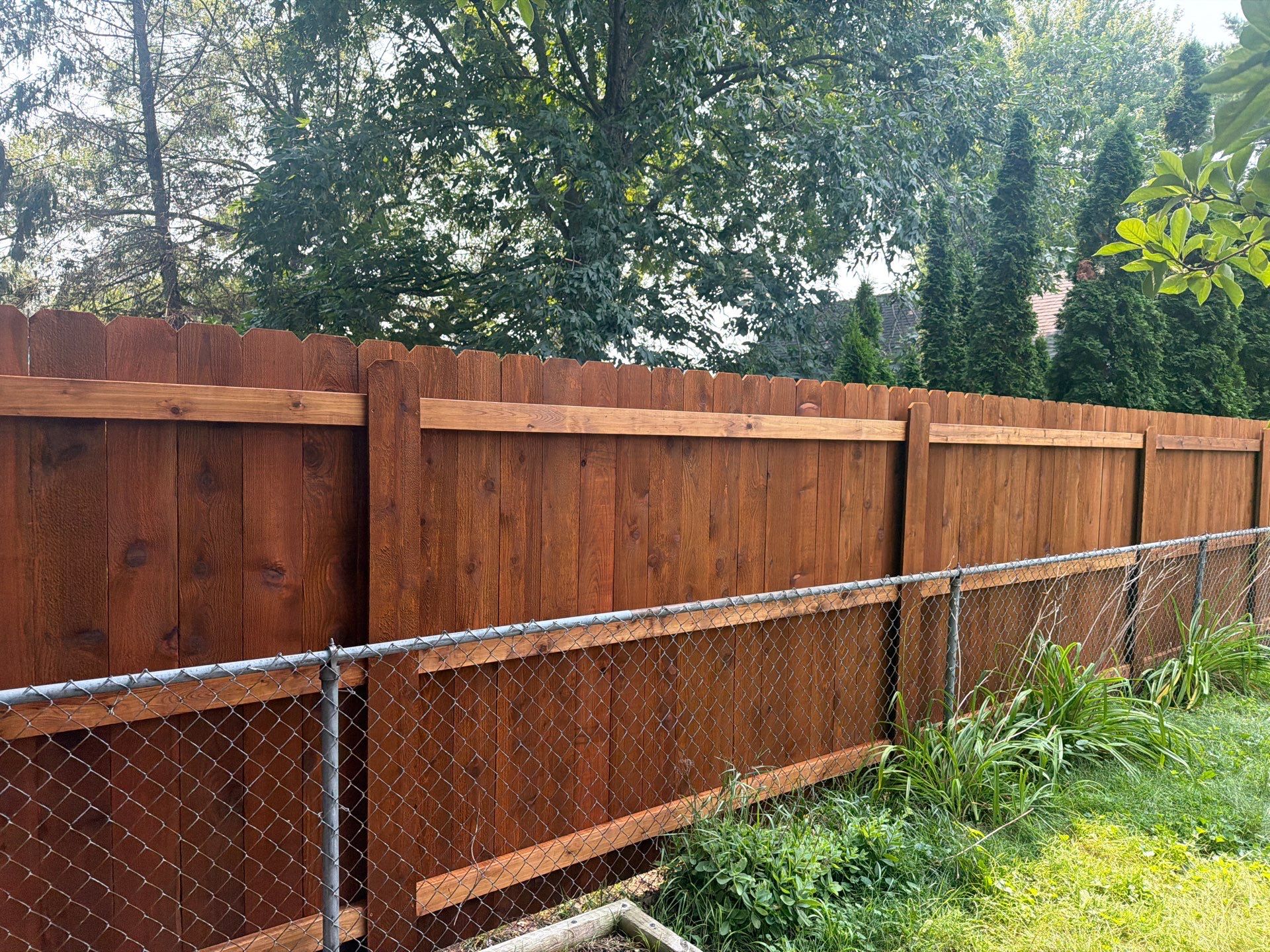 Pecan Cedar Privacy Fence Installation with Scalloped Top in Cedar Falls by Perfect Picket Fence and Stain