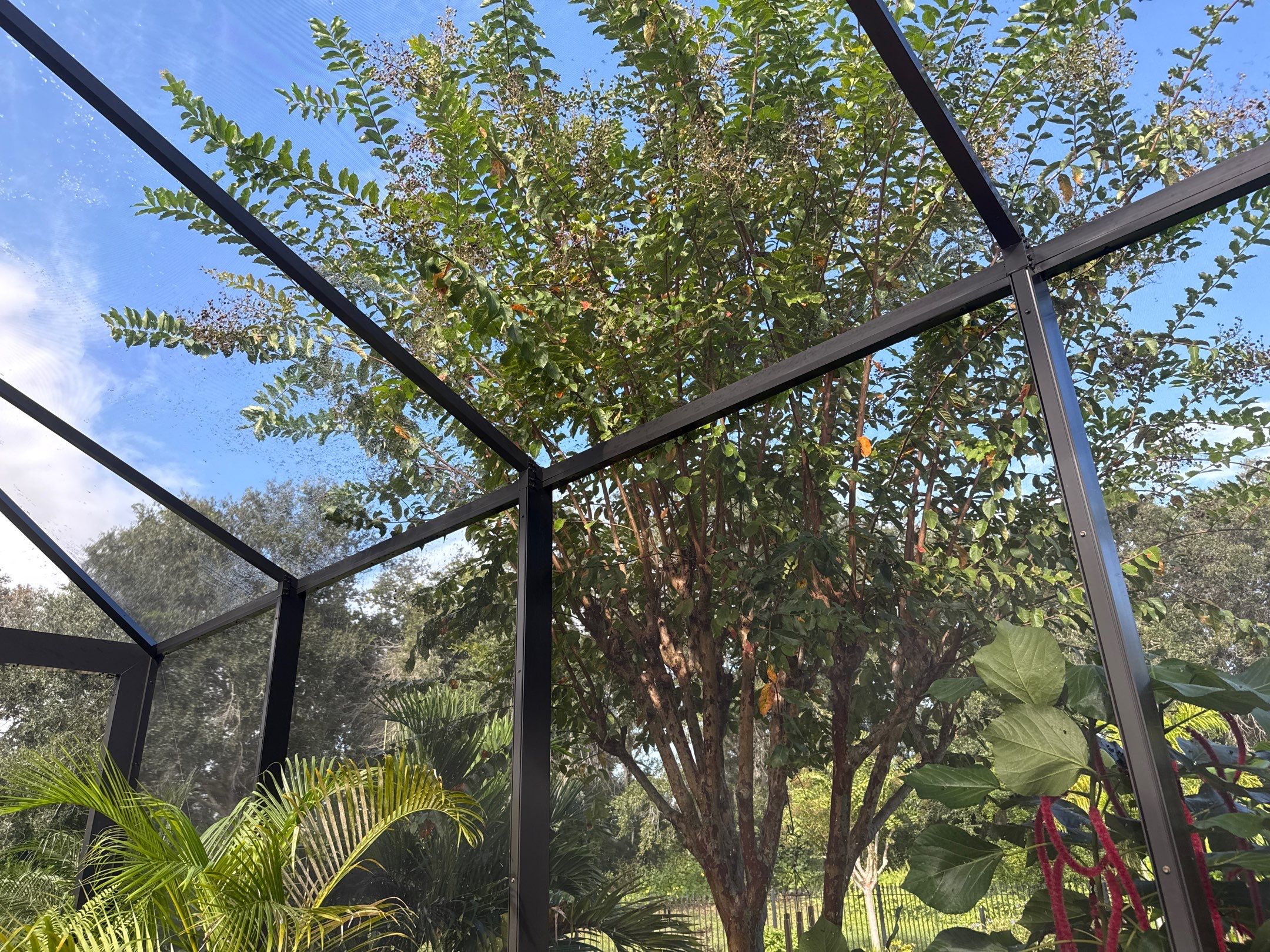 Pool Cage Cleaning | Rye Wilderness, Bradenton FL by Sunshine AquaWash